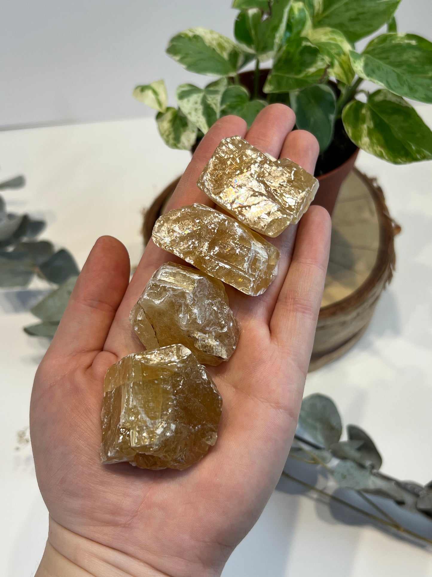 Honey Calcite Raw