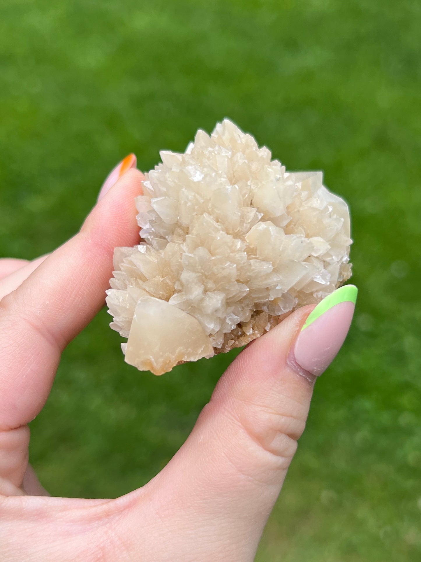 Yellow Dogtooth Calcite Cluster