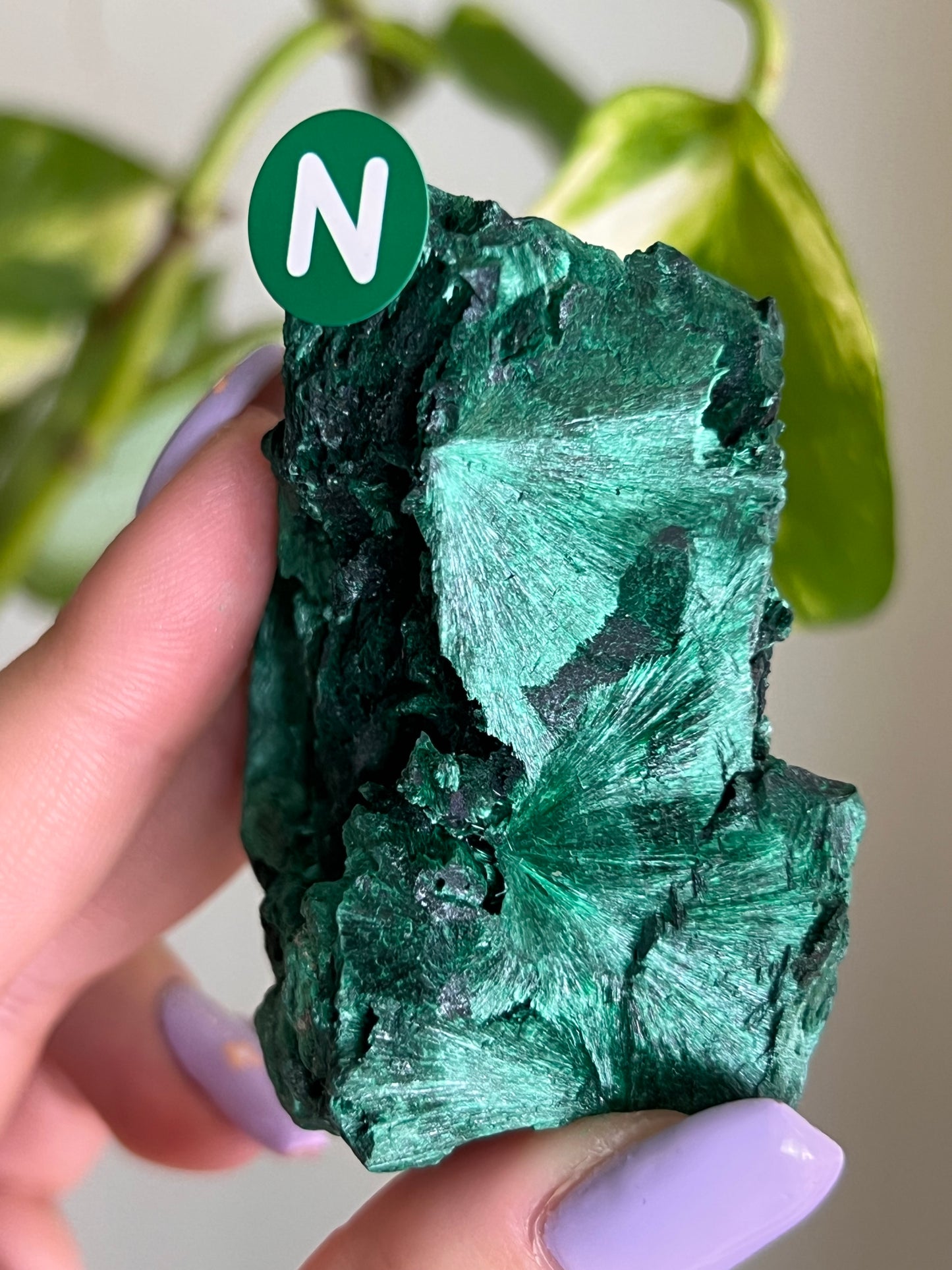 Fibrous Malachite - N