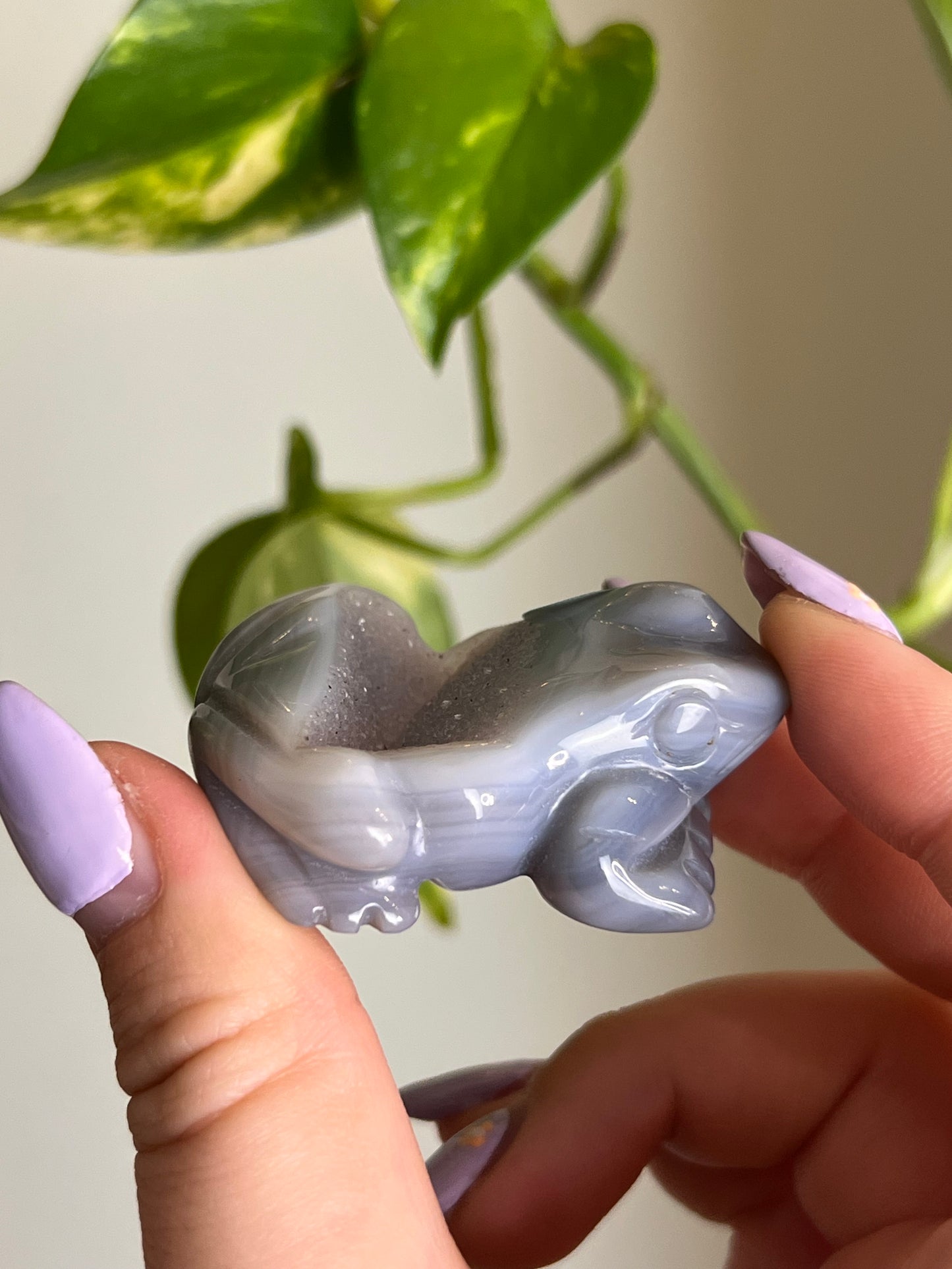 Druzy Agate Frog - 3