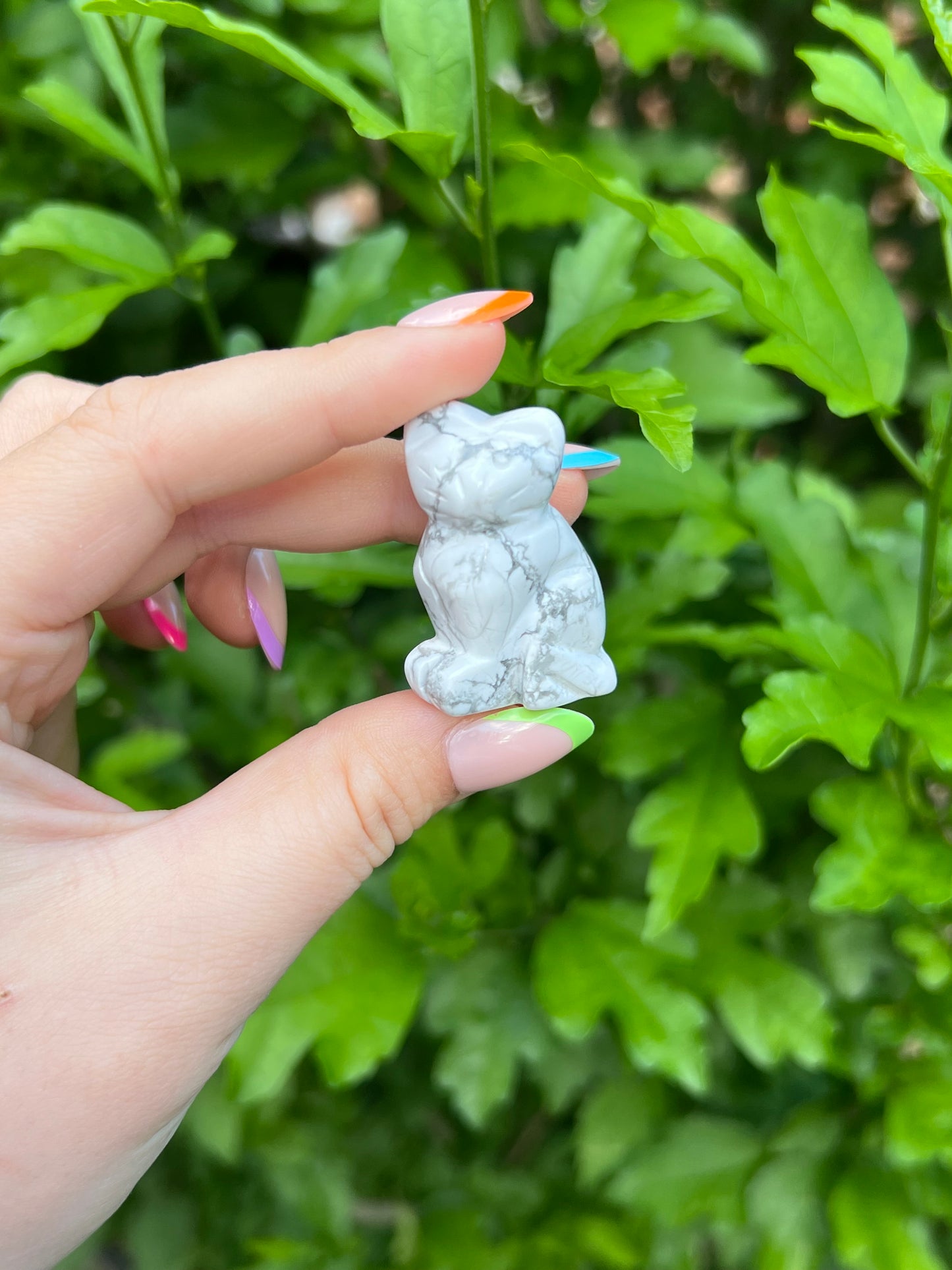 White Howlite Cat
