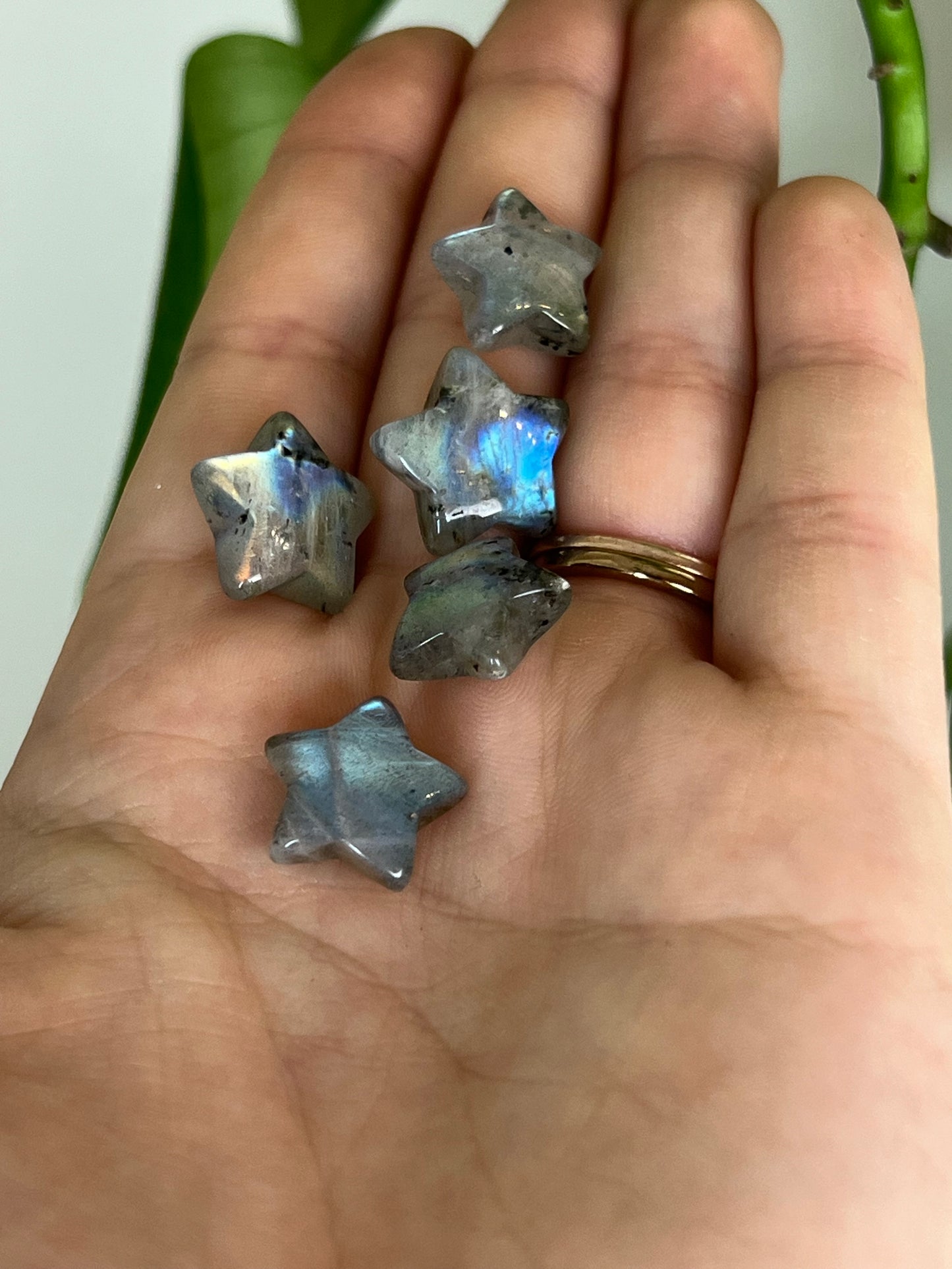 Flashy Labradorite Mini Star