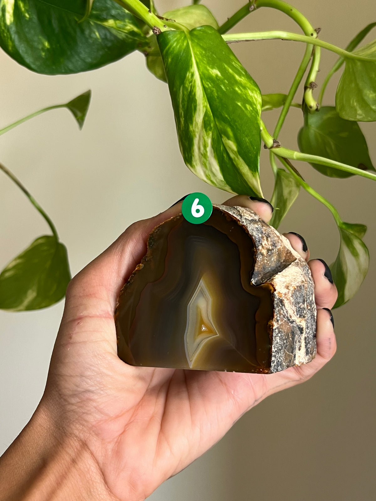 Brown + Red Druzy Agate Freeform - 6