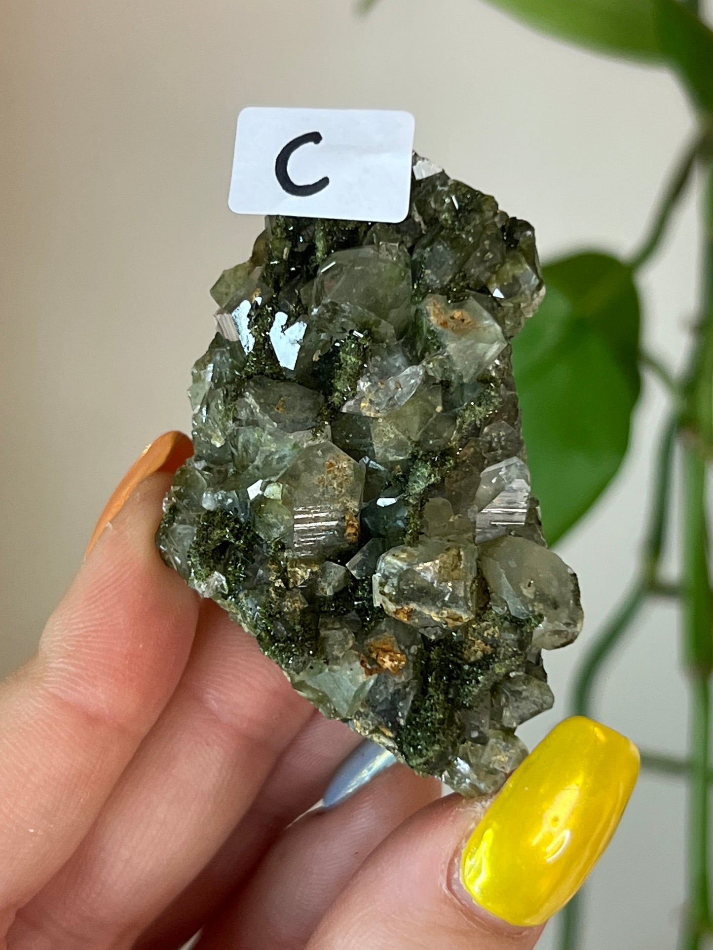 Forest Epidote Quartz Cluster - C