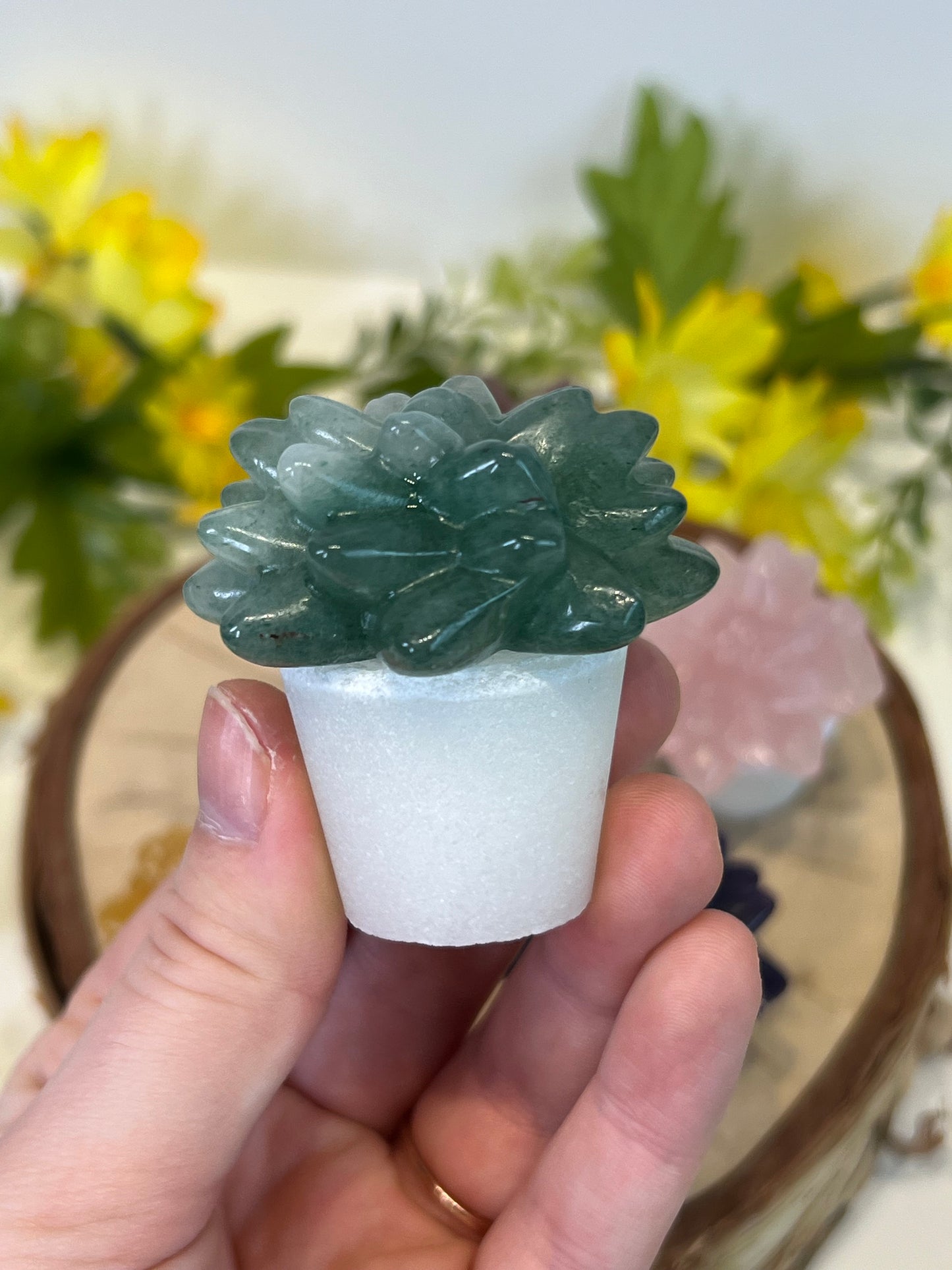 Crystal Succulent