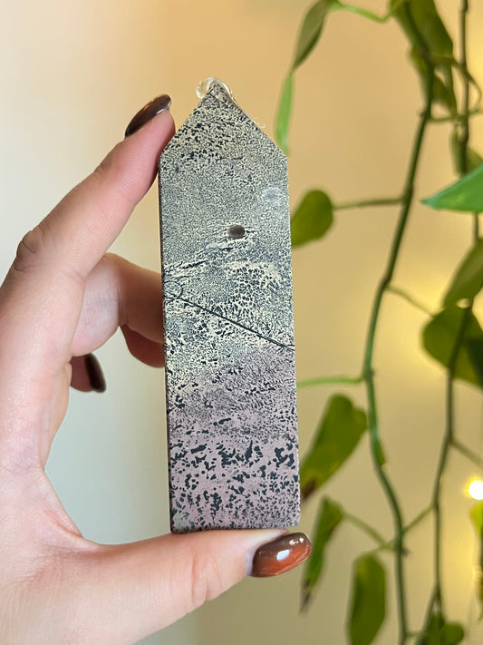 Picture Jasper Tower