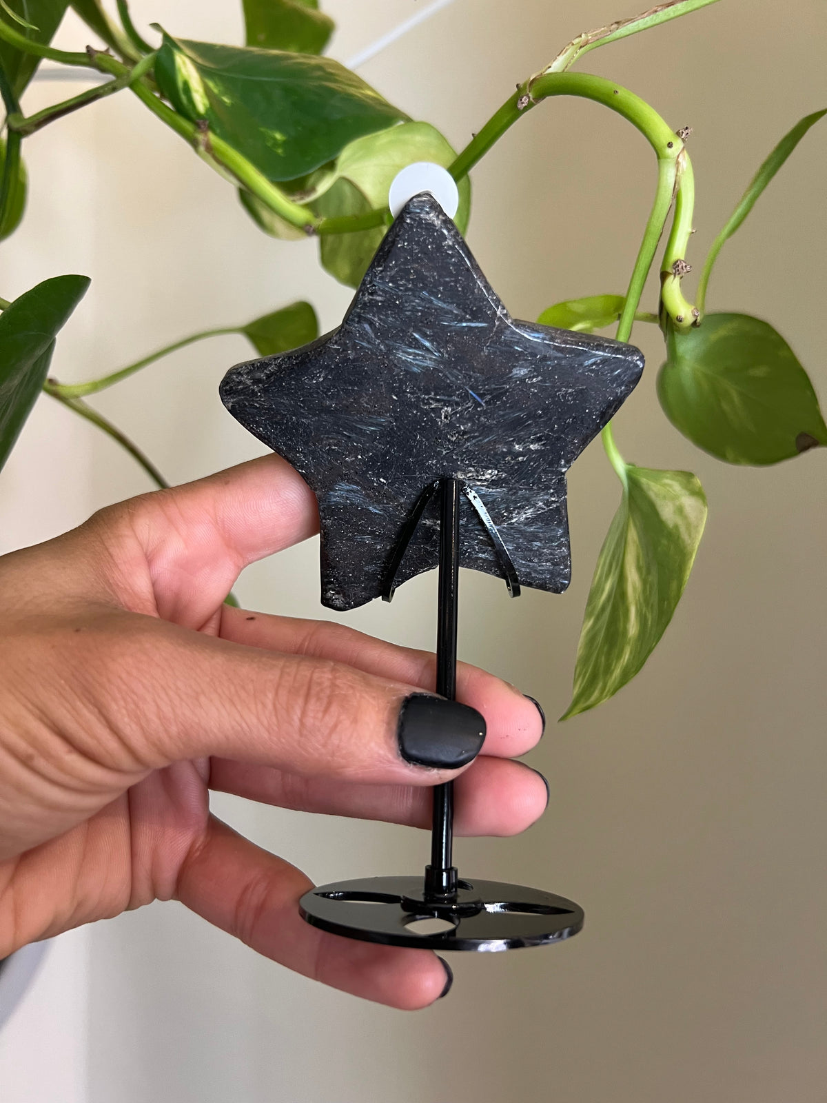Flashy Astrophyllite Star on Stand - 2