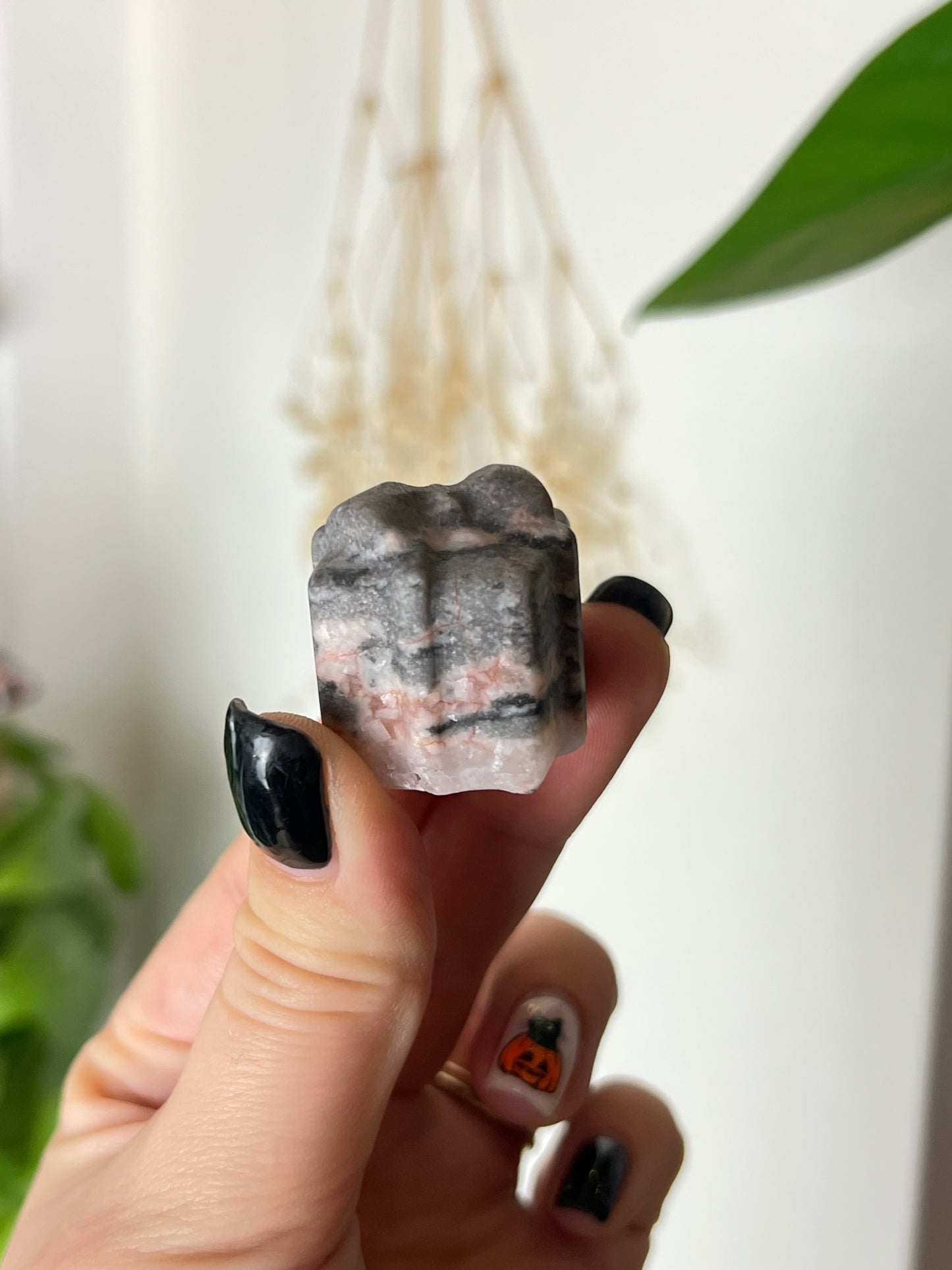 Pink Zebra Jasper Cute Gift Box