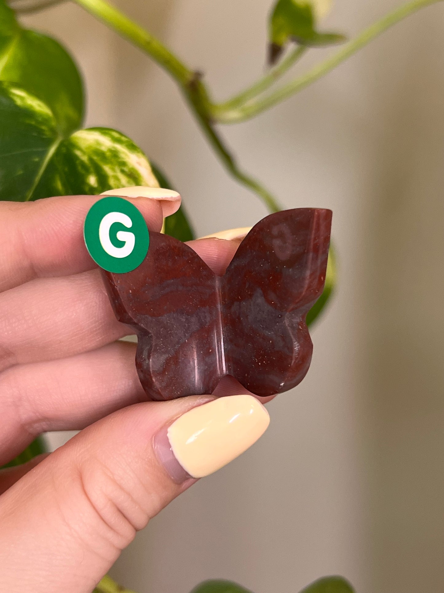 Rosetta Jasper Small 3D Butterfly -G