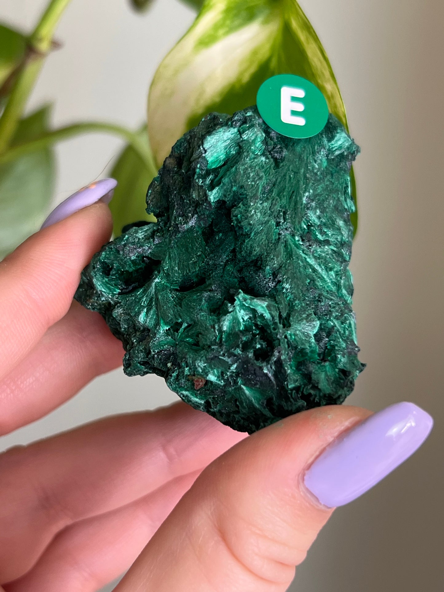 Fibrous Malachite - E