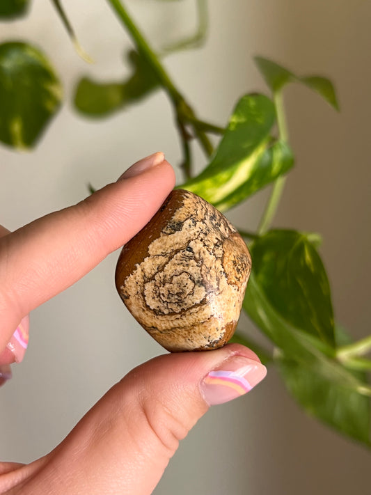 Picture Jasper Tumbled
