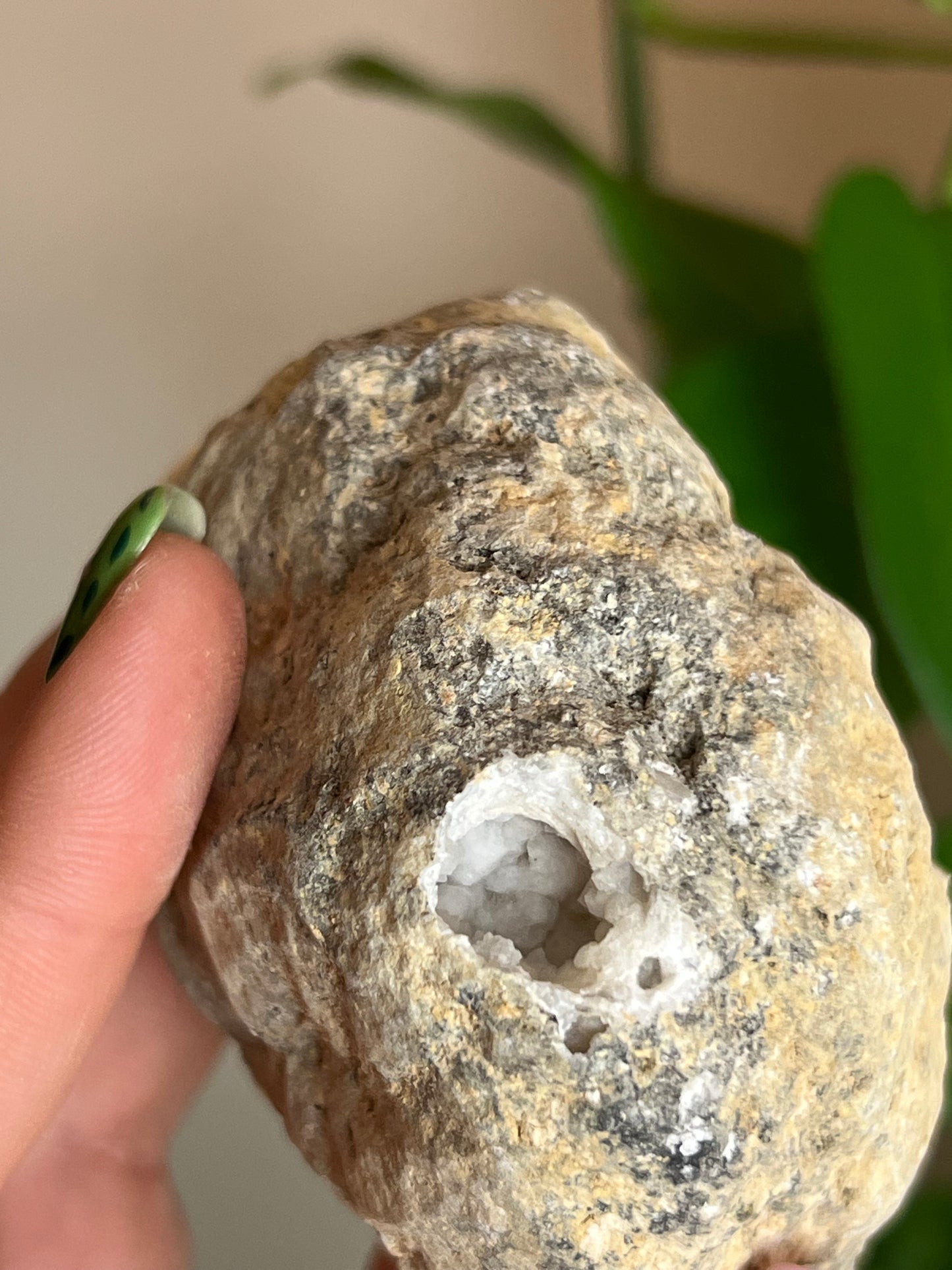 Crack Your Own Quartz Geode