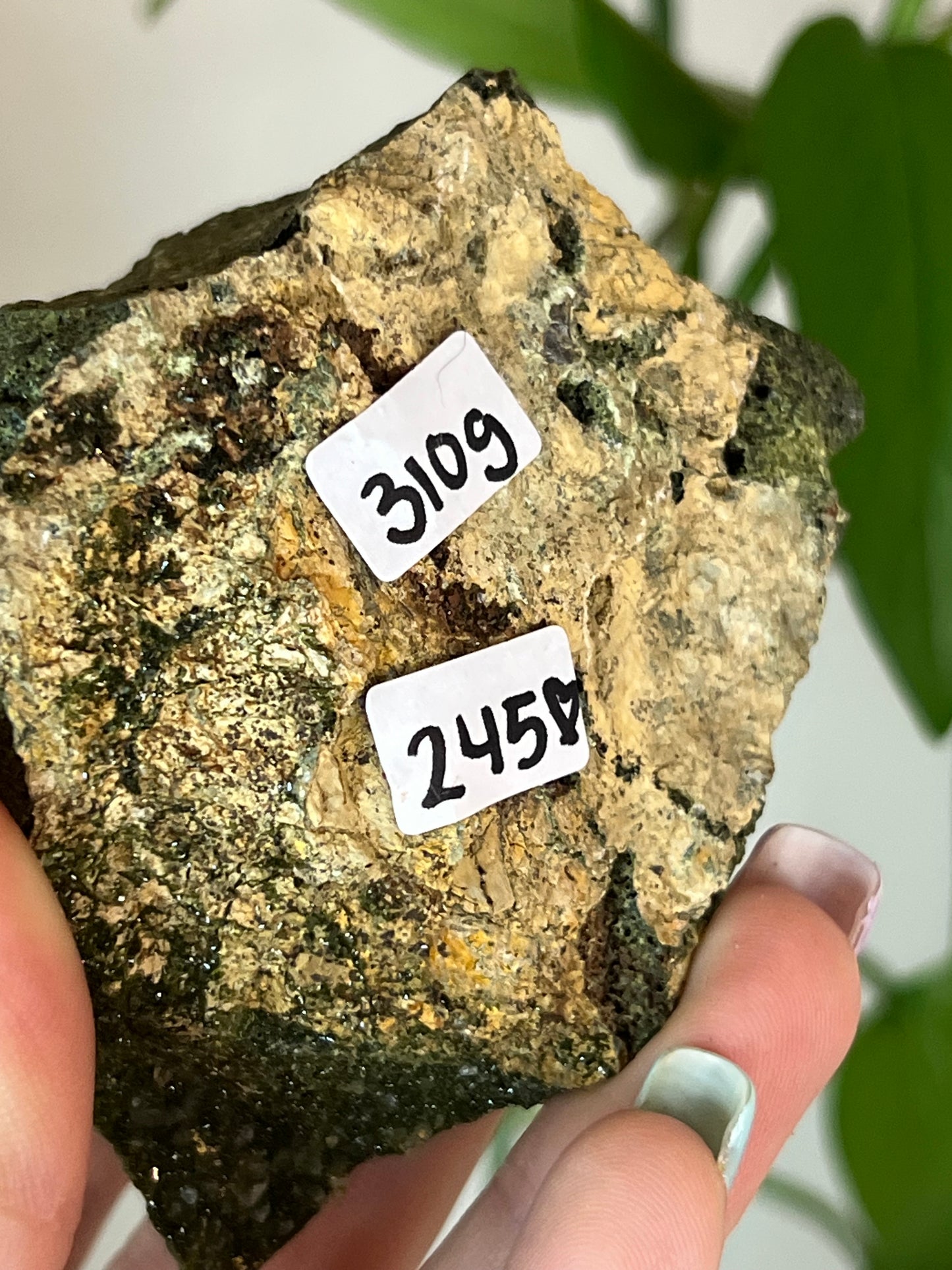 Forest Epidote Quartz Cluster - XLarge