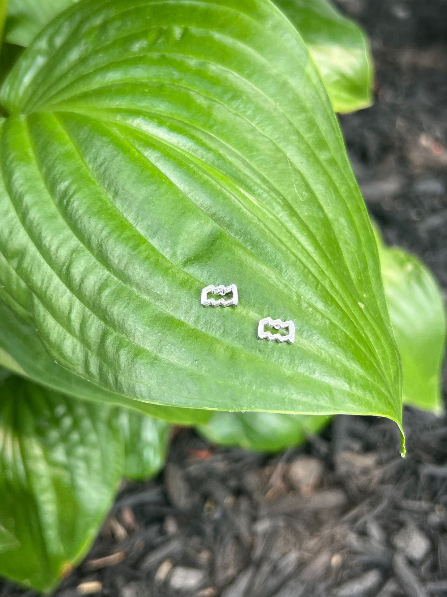 Aquarius Silver Zodiac Sign Studs ♒️