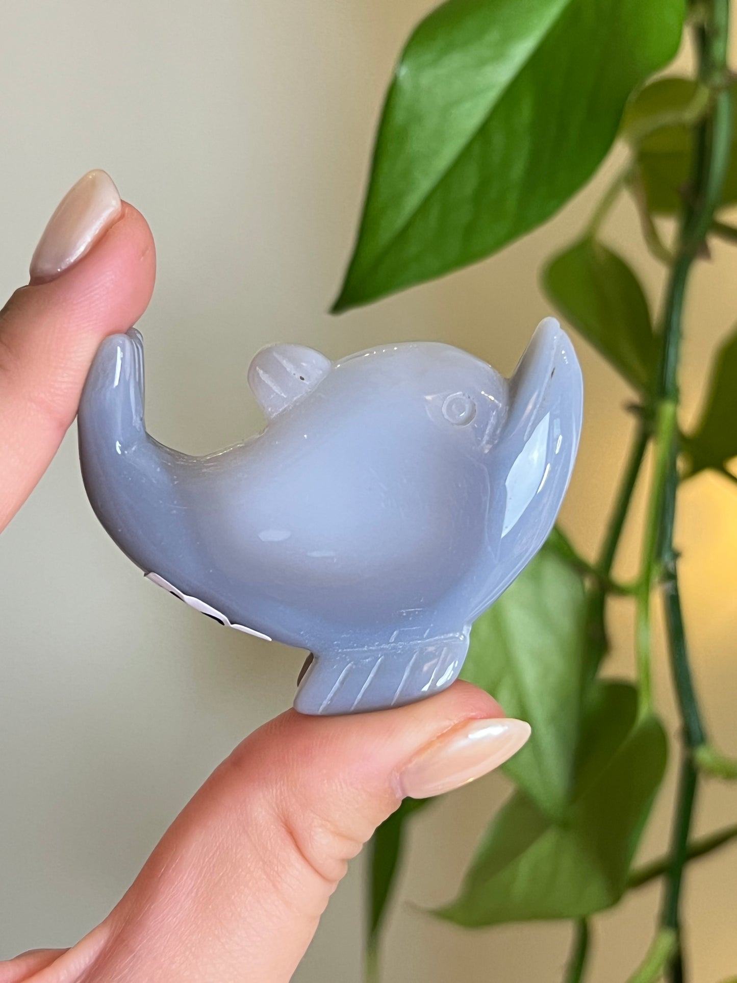 Druzy Agate Dolphin