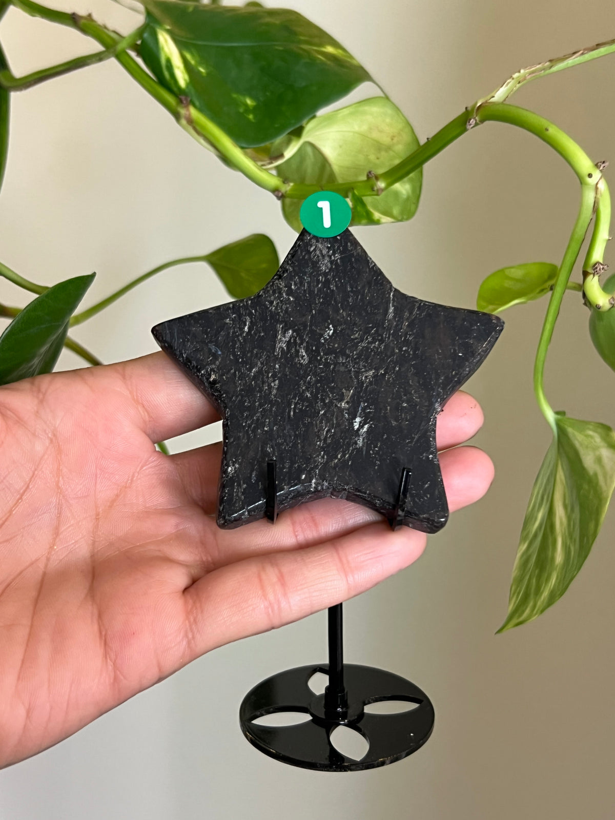 Flashy Astrophyllite Star on Stand - 1