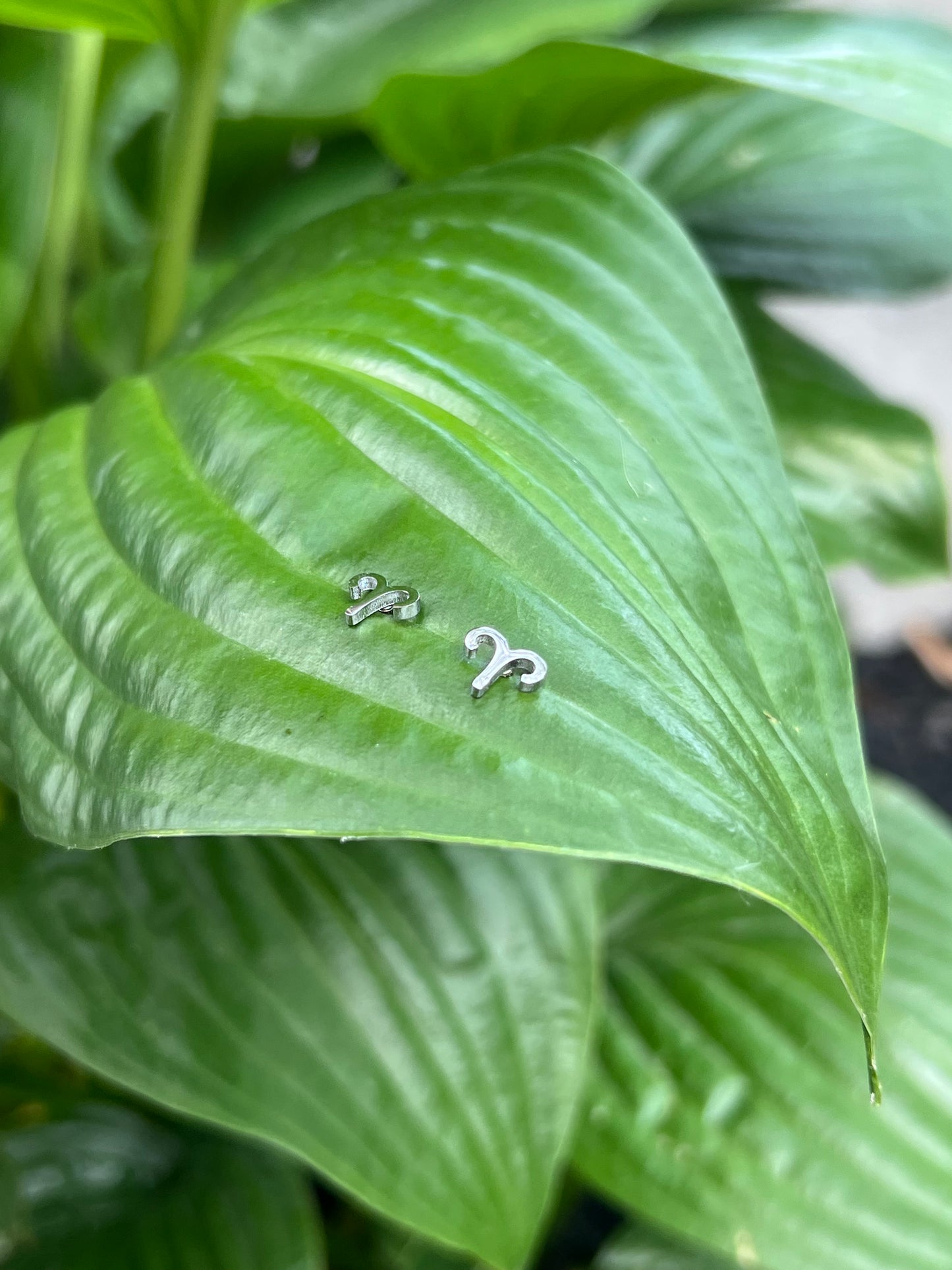 Aries Silver Zodiac Sign Studs ♈️