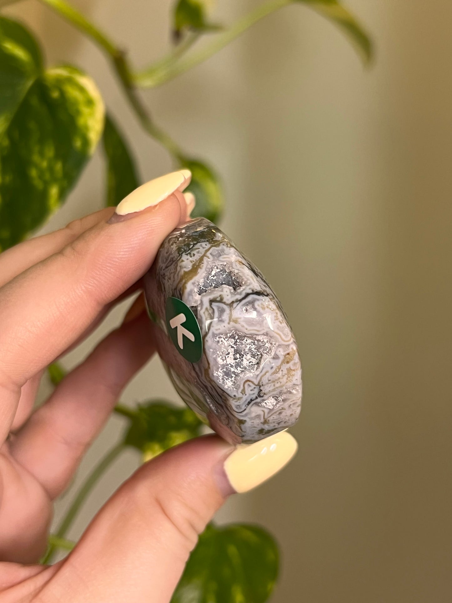 Rainbow Druzy Moss Agate Palm - K