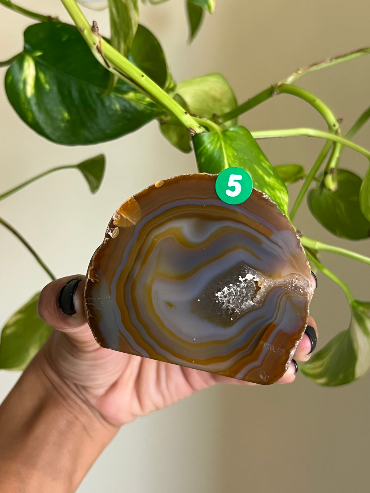 Brown + Blue Druzy Agate Freeform - 5