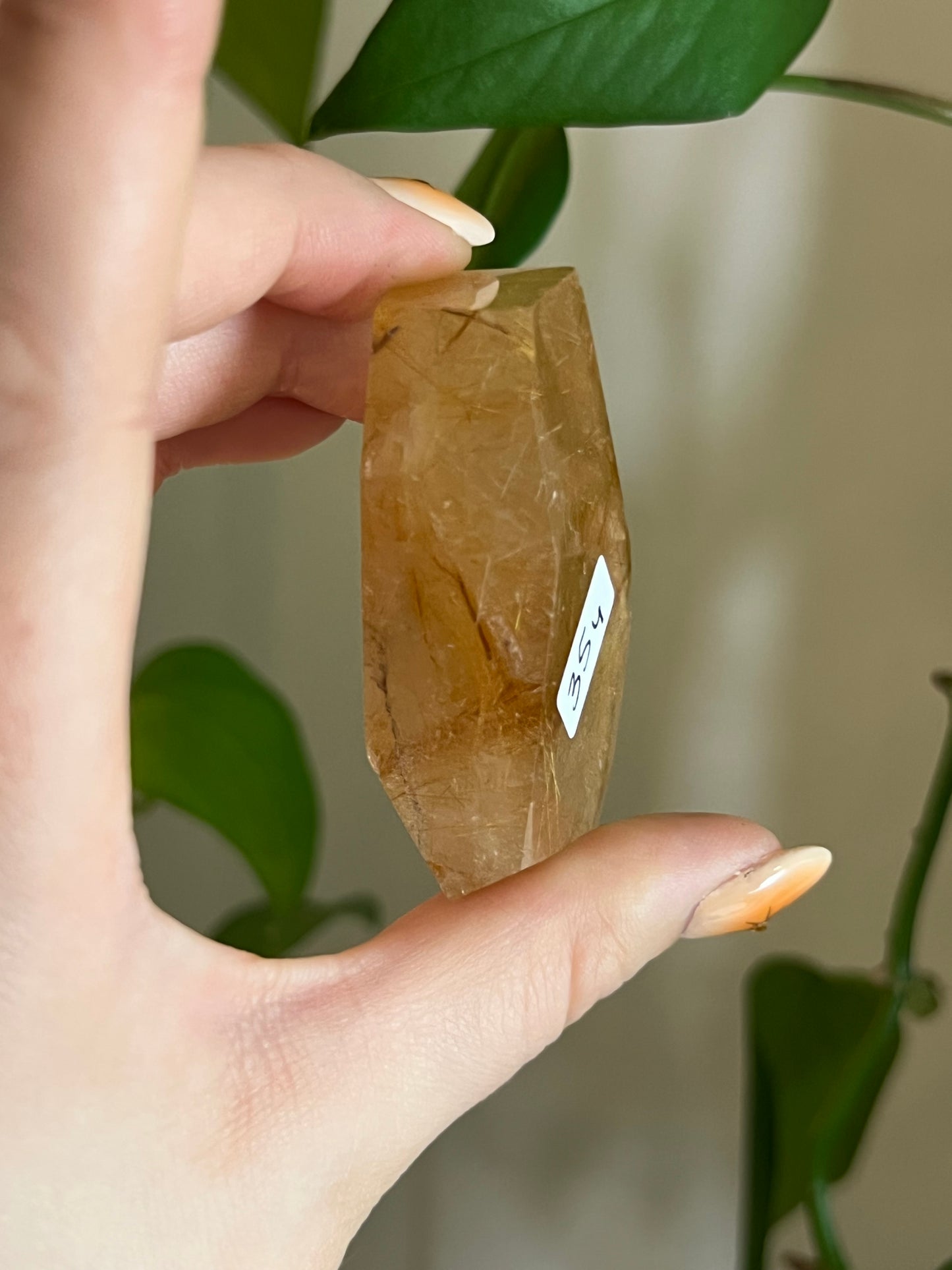 Golden Rutile Quartz Gusher - Y