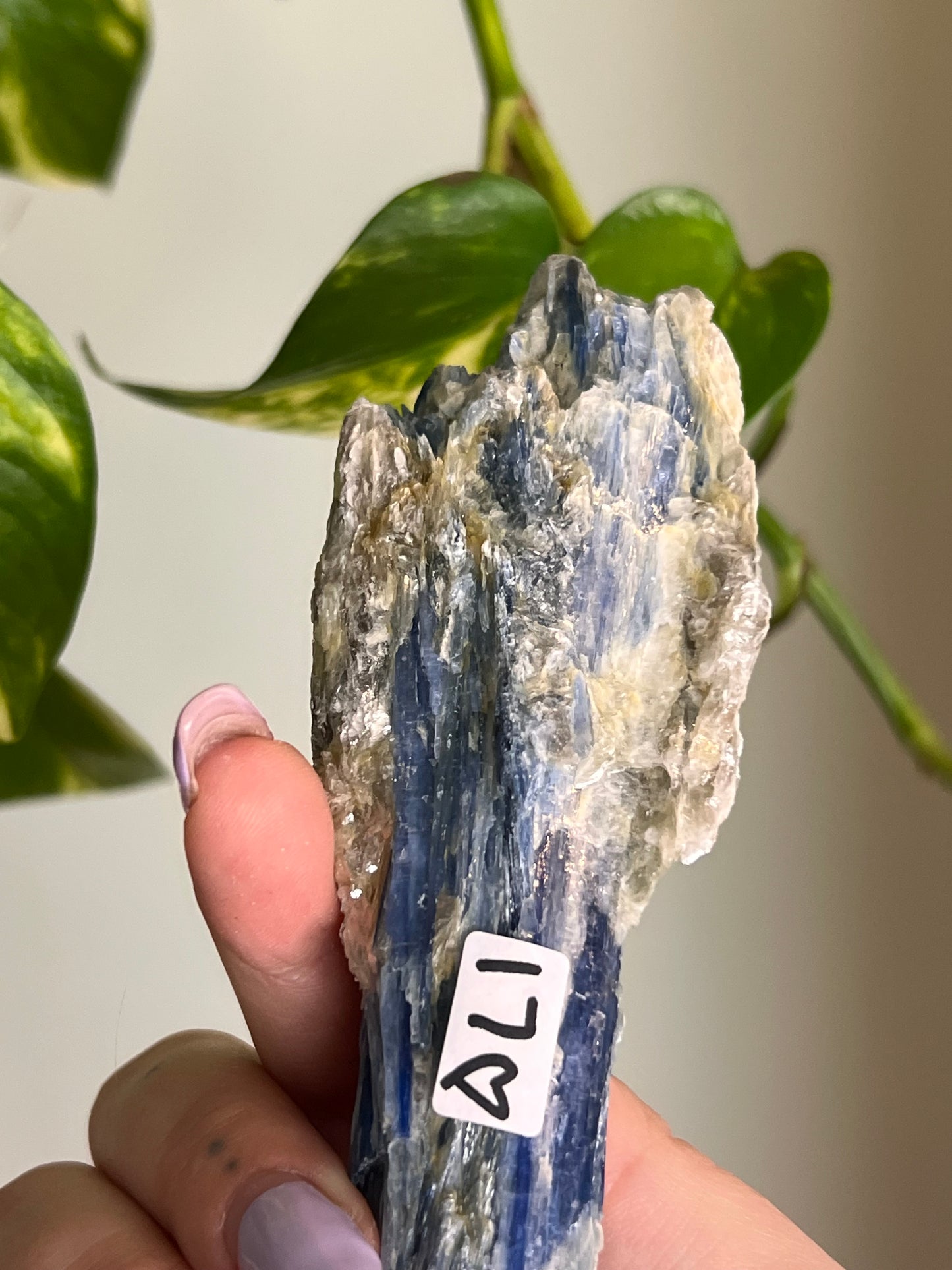 Blue Kyanite Raw Blade