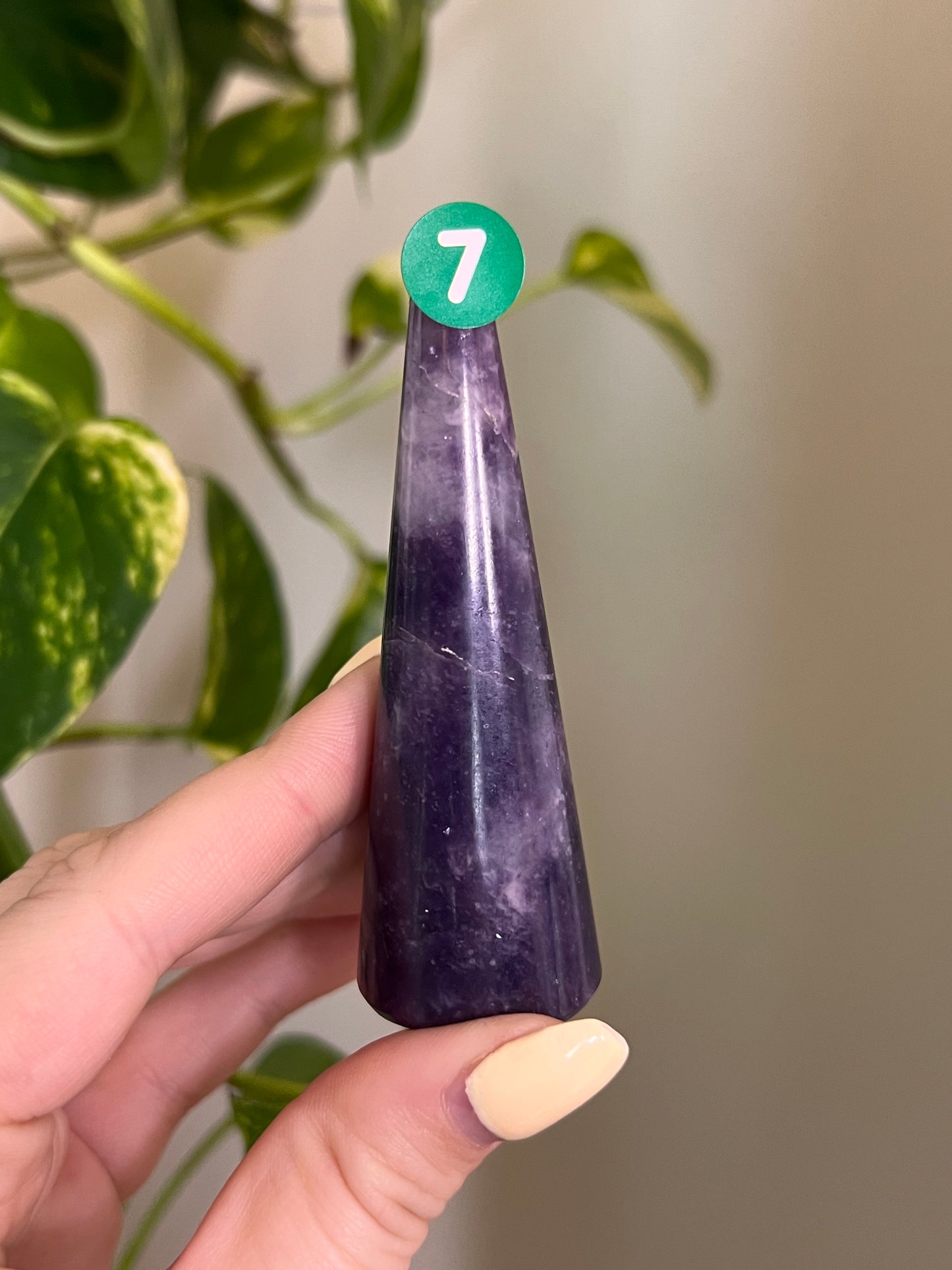 Lepidolite Ring Holder - 7