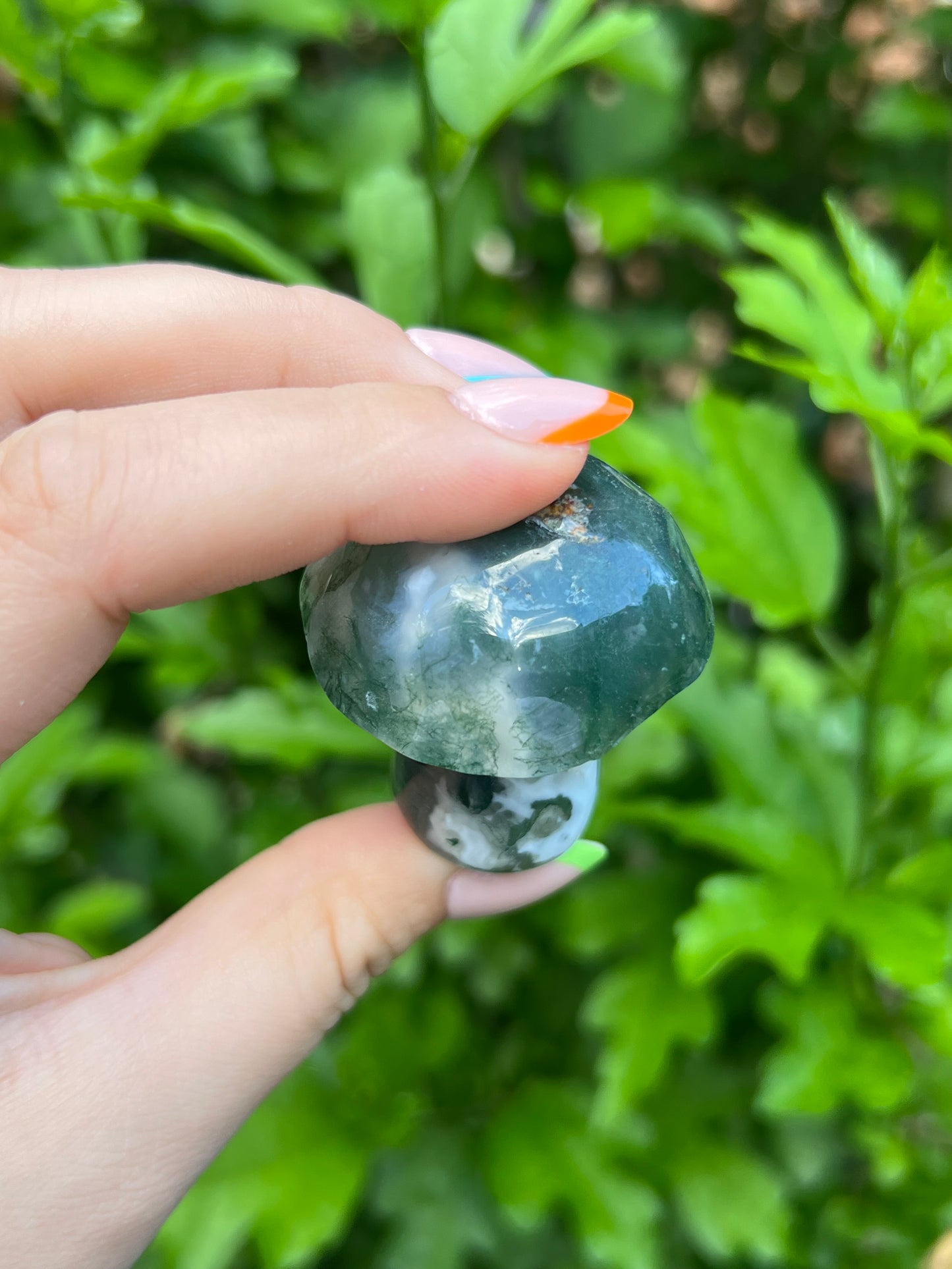 Druzy Moss Agate Mushroom