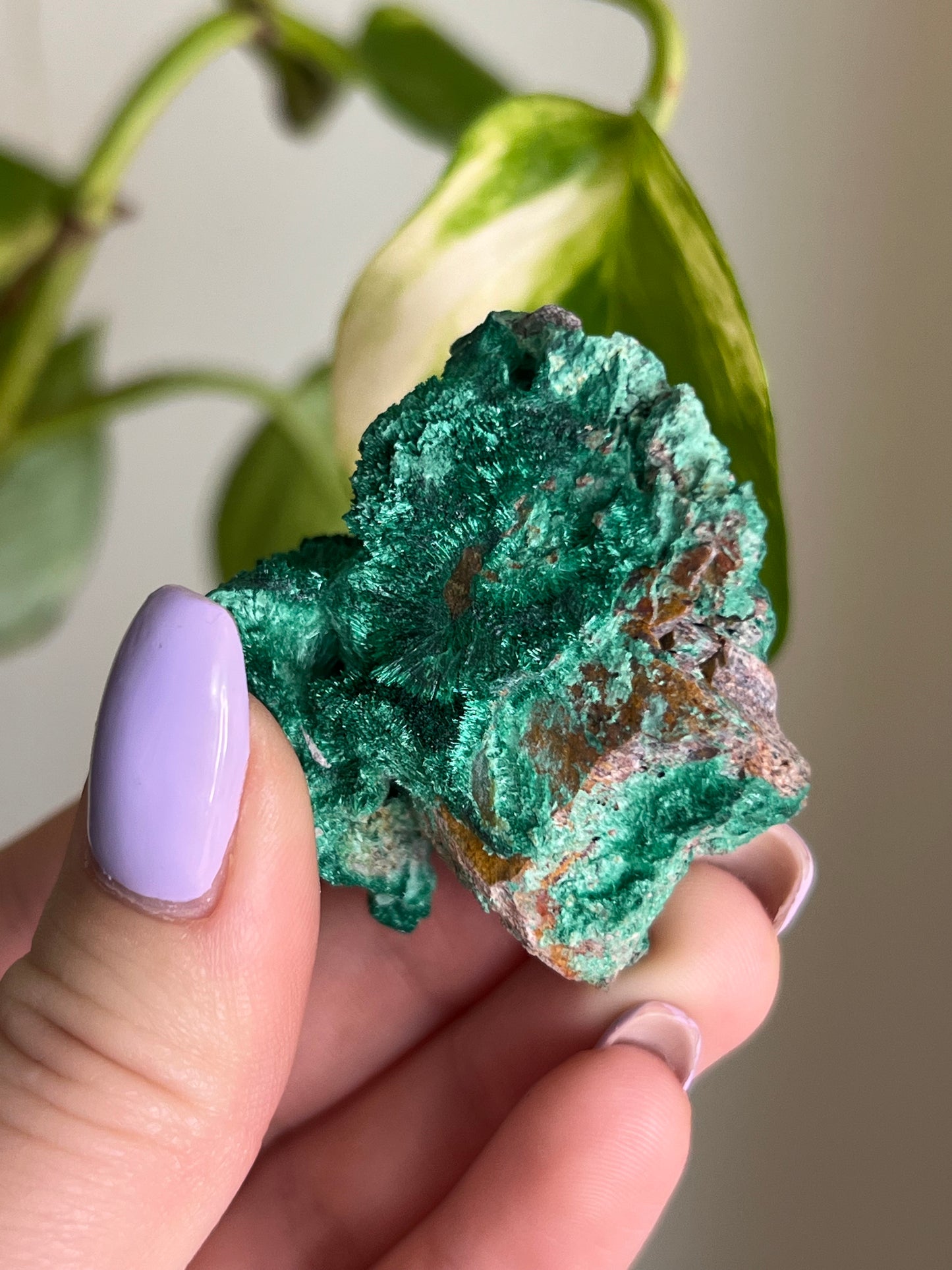 Fibrous Malachite - V