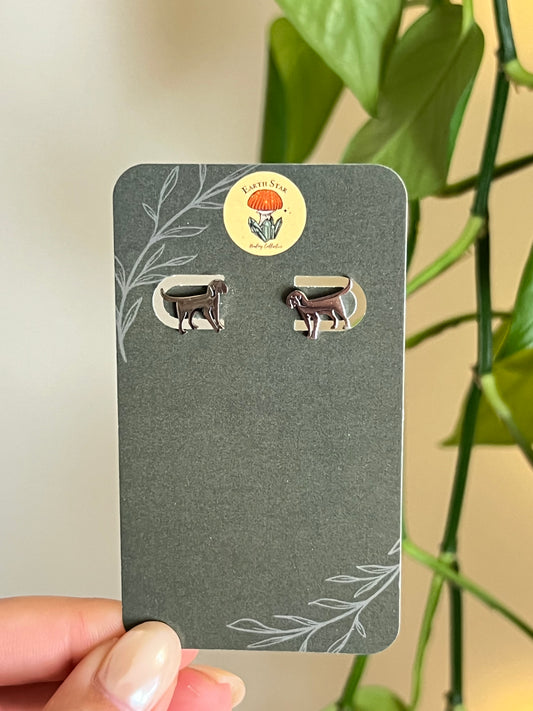 Dog Stainless Steel Studs