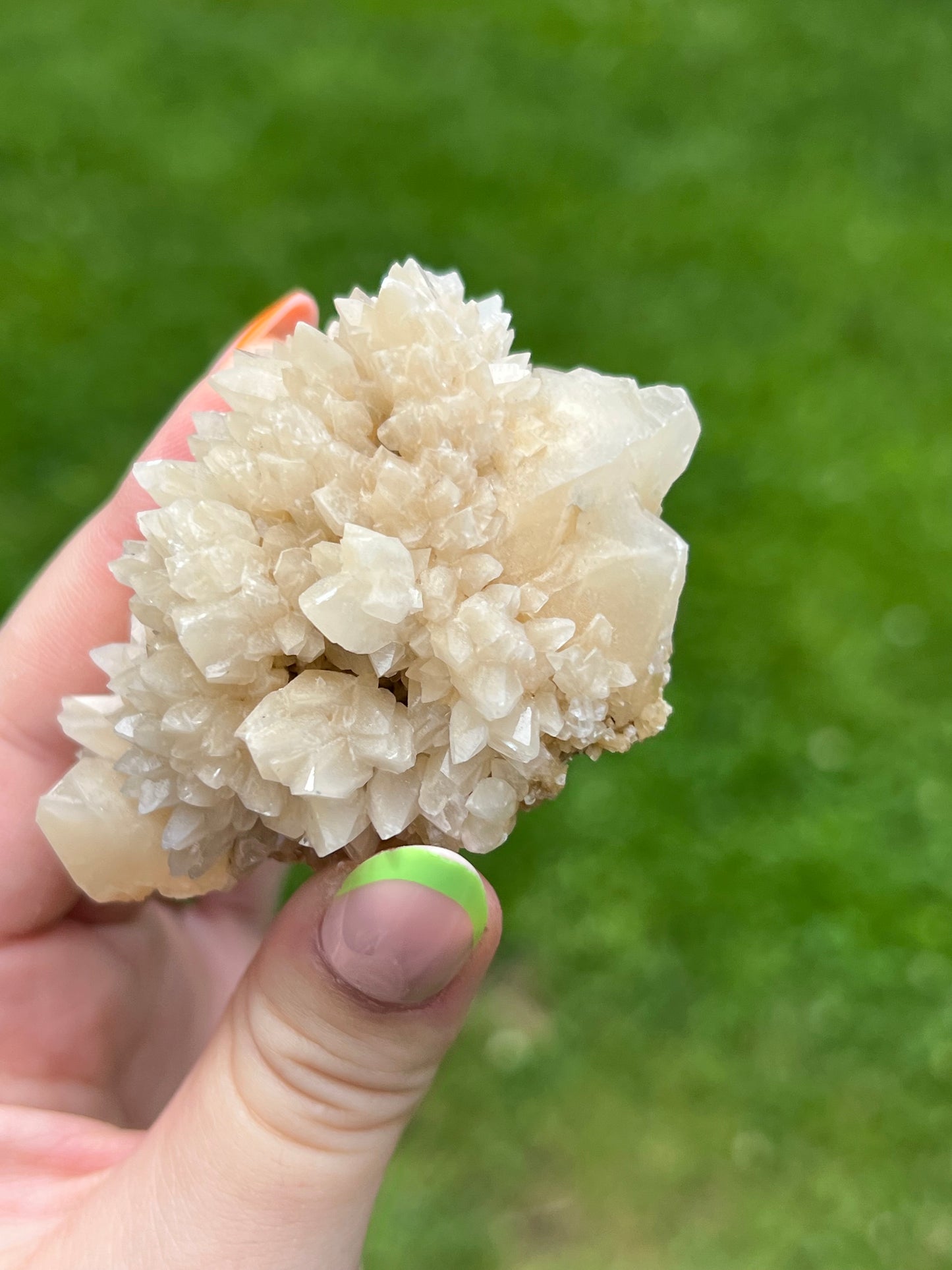 Yellow Dogtooth Calcite Cluster