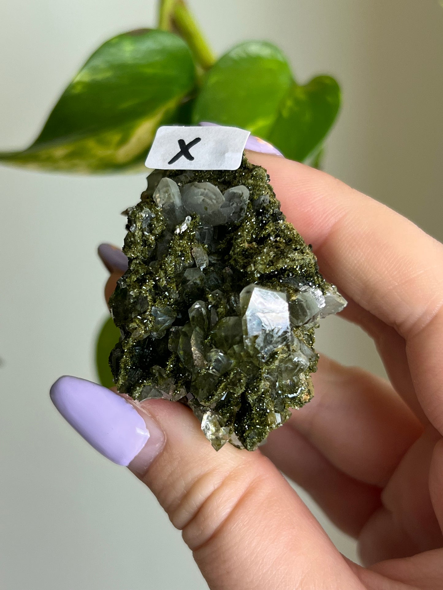 Forest Epidote Quartz Cluster - X