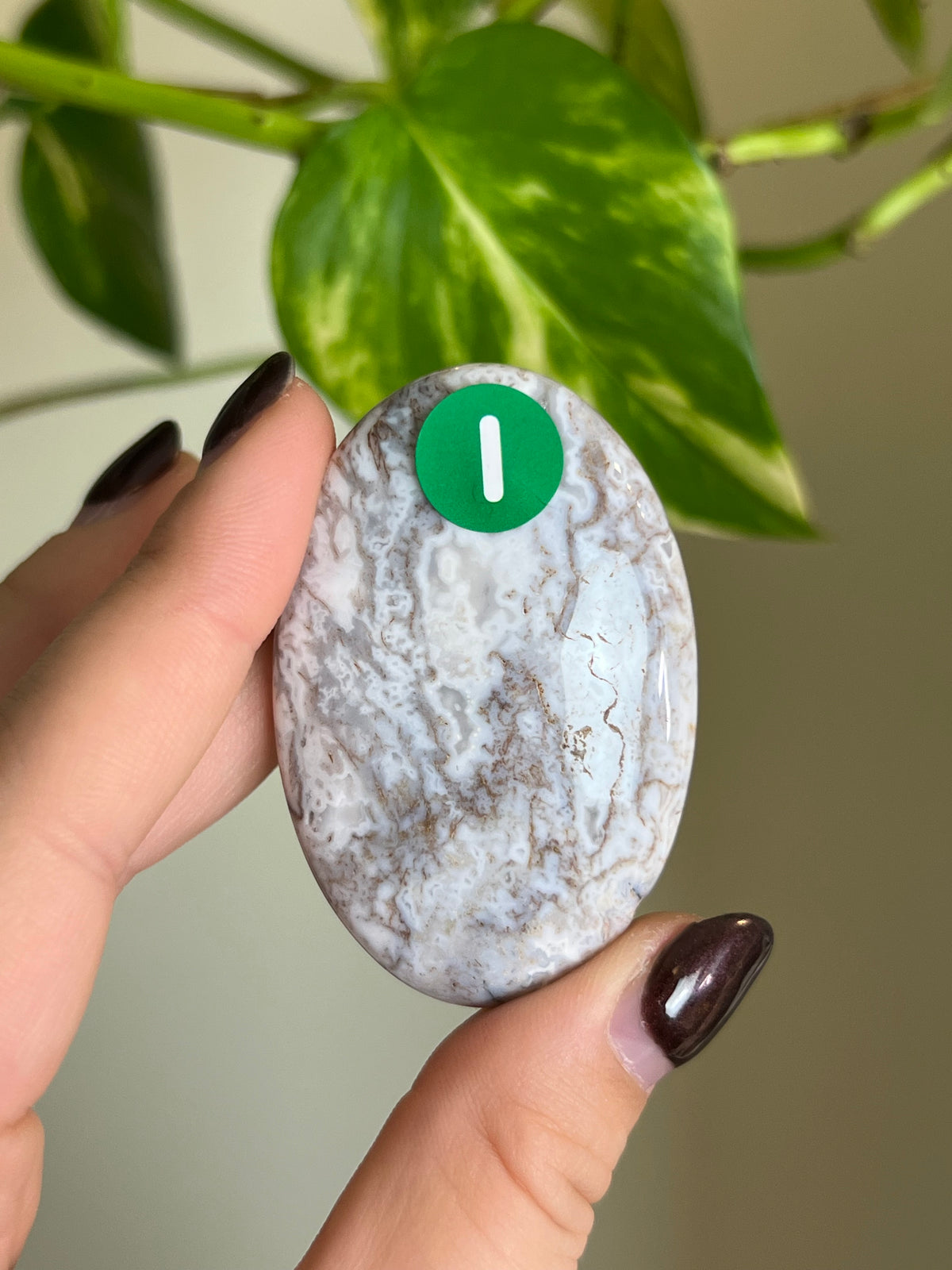 White Moss Agate Small Palm Stone - i