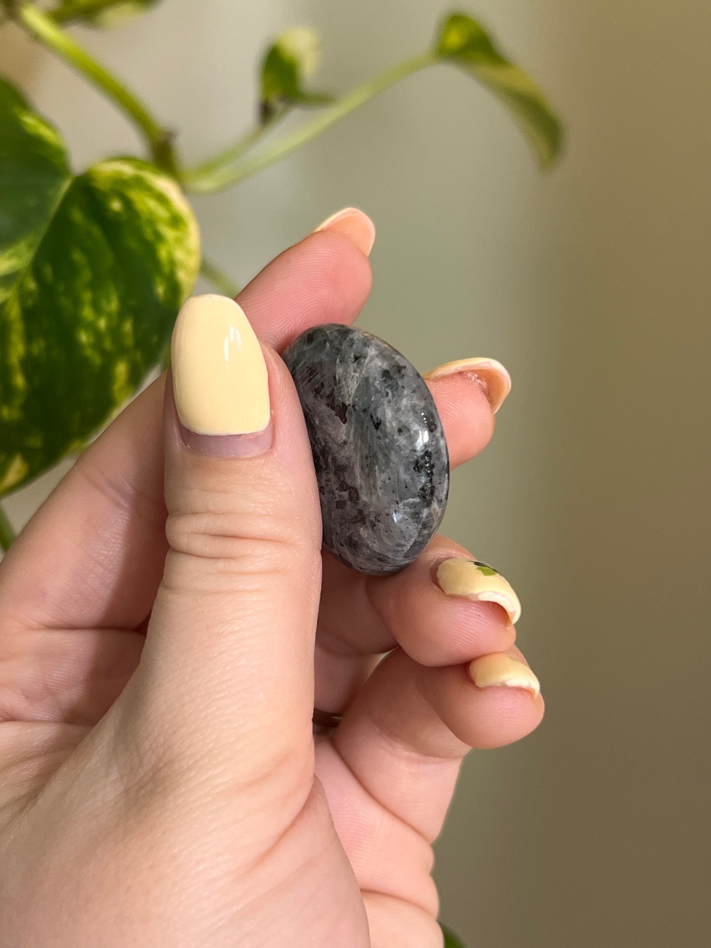 Larvikite Button