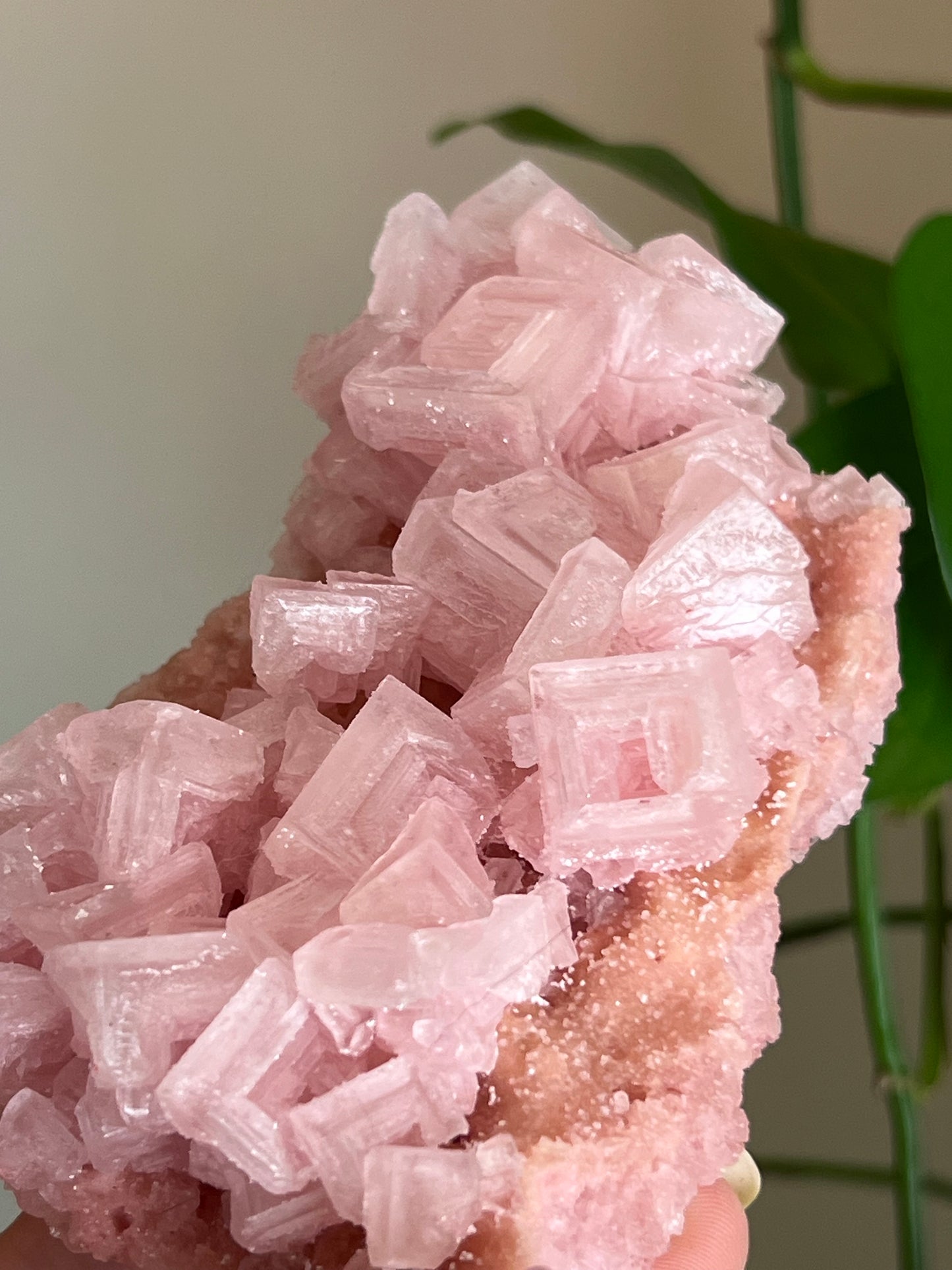 Pink Halite Specimen