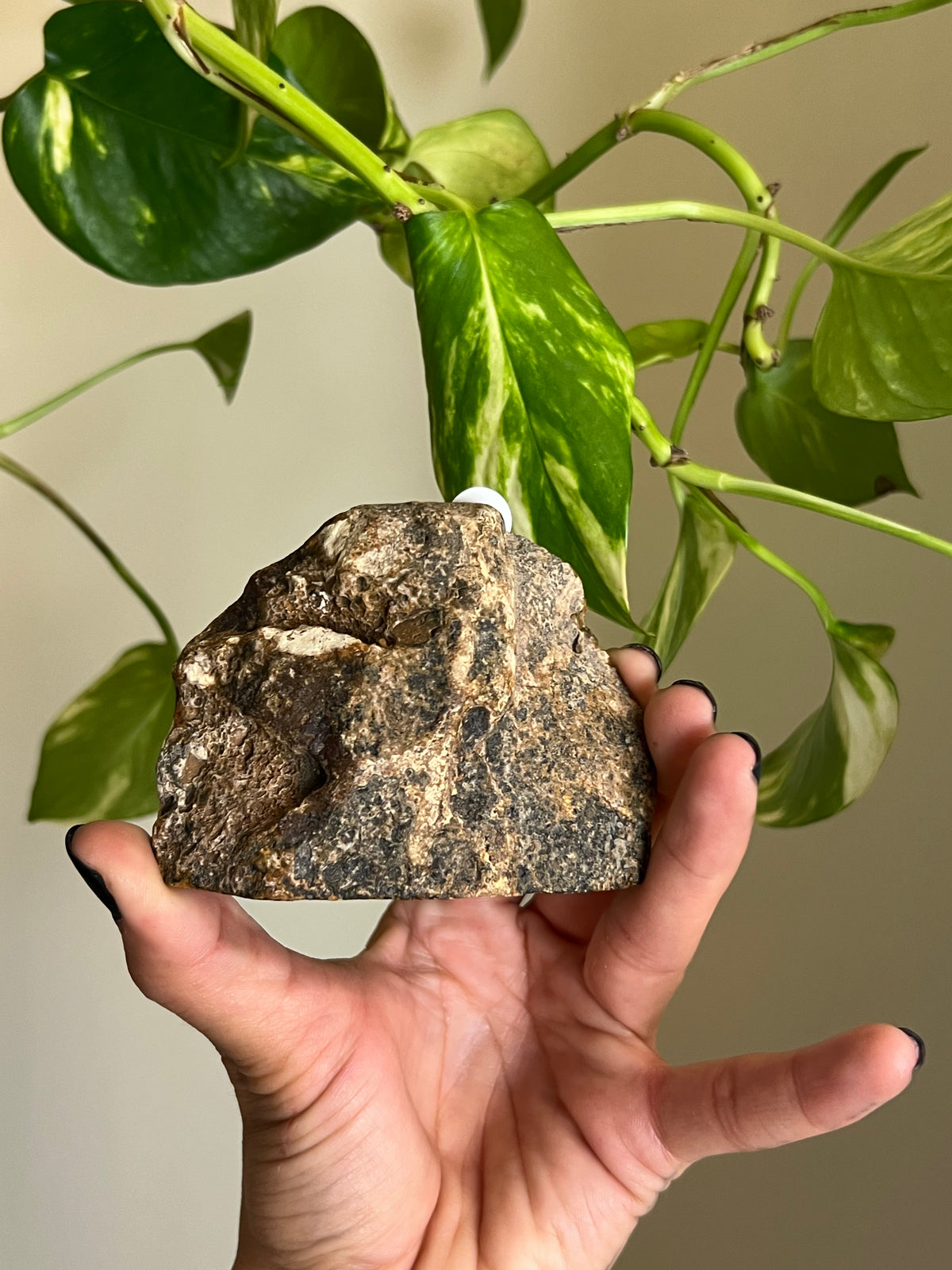 Brown + Red Druzy Agate Freeform - 6