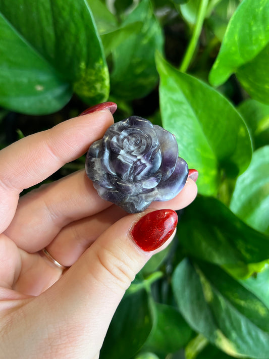 Amethyst Rose