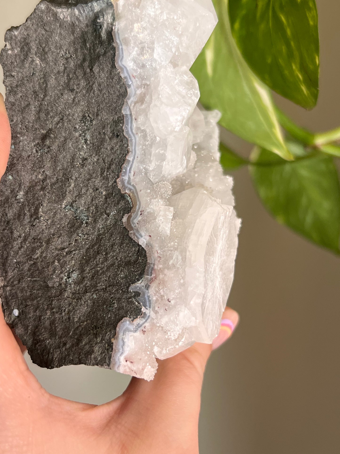 Apophyllite and Chalcedony Cluster - X