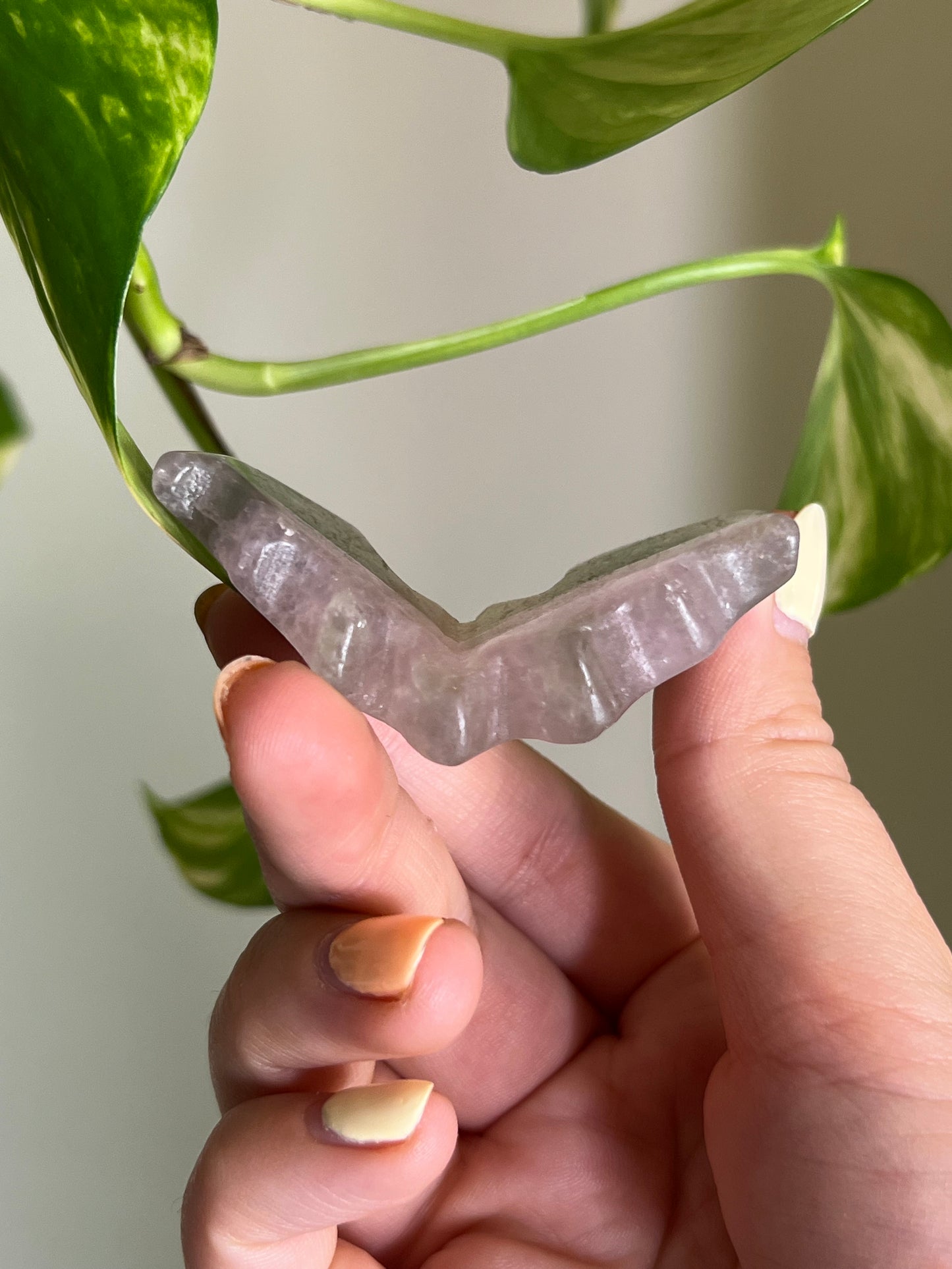 Pastel Rainbow Fluorite 3D Bat