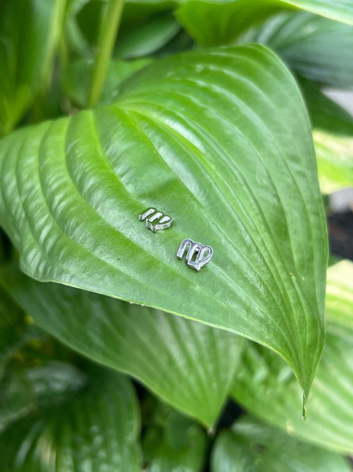 Virgo Silver Zodiac Sign Studs ♍️