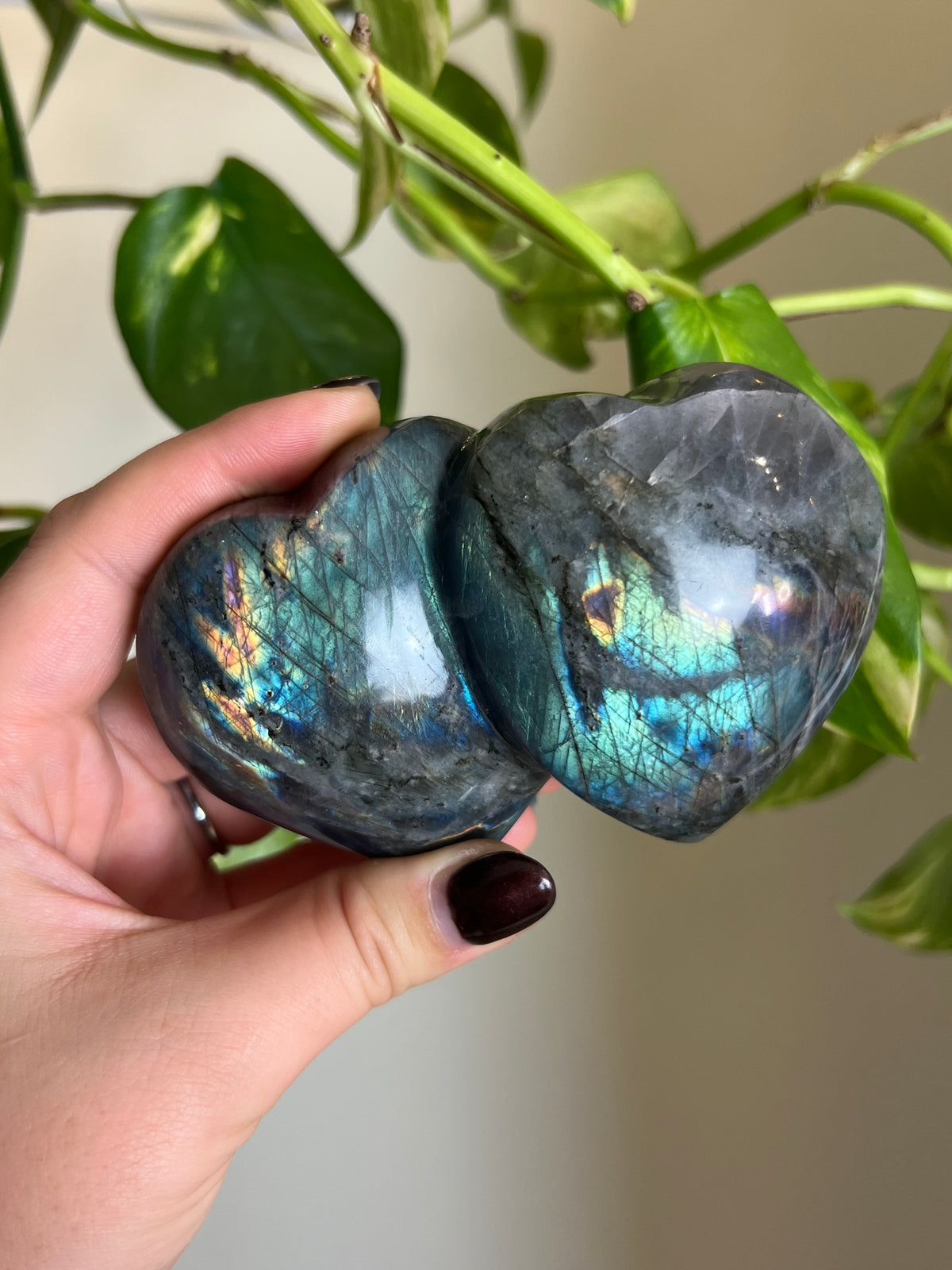 Flashy Labradorite Hugging Heart Duo on Stand