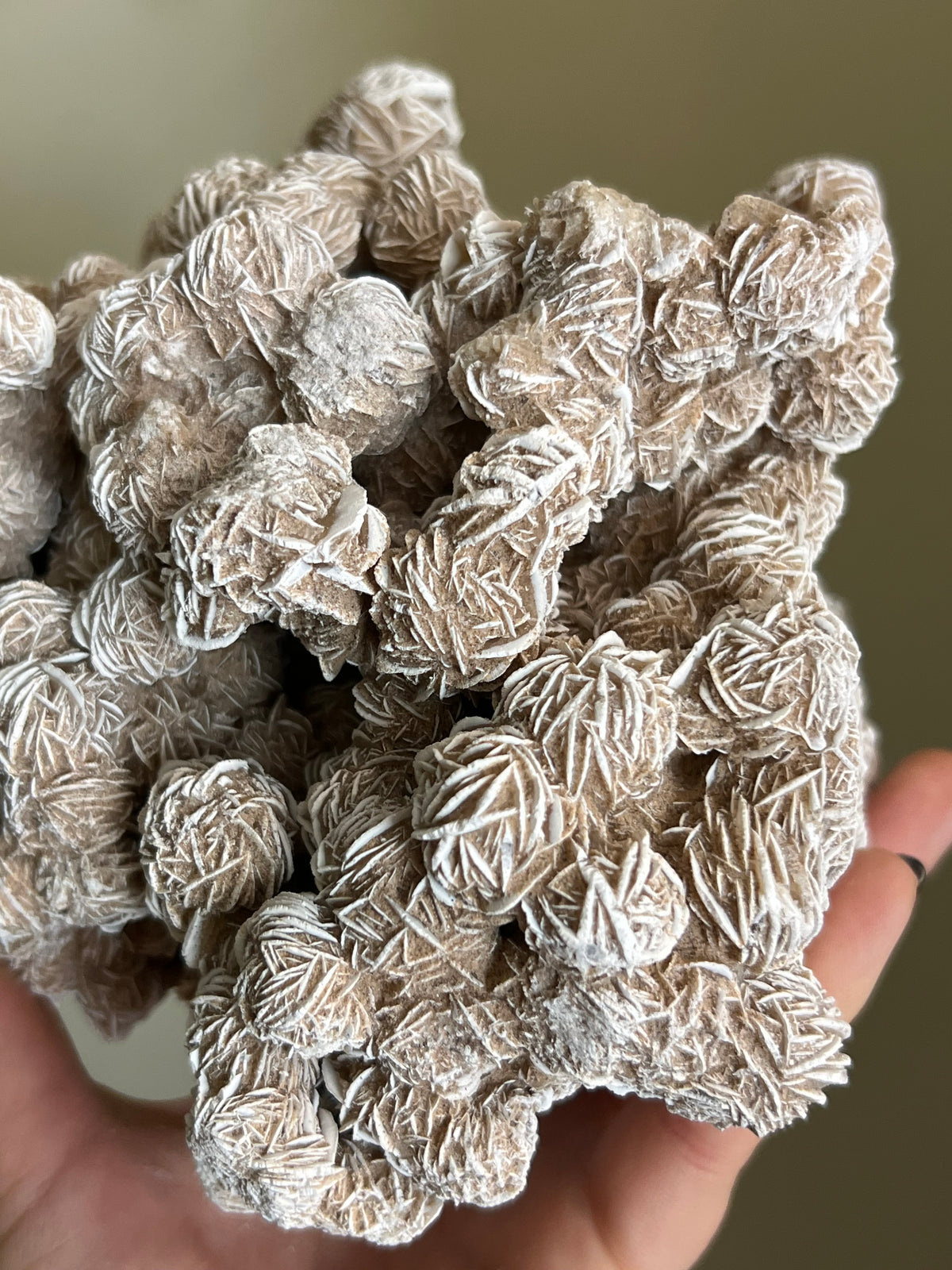 Desert Rose Selenite