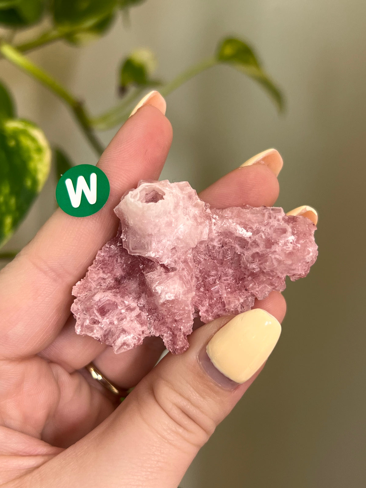 Pastel Pink Halite Specimen - W – Earth Star Healing Collective