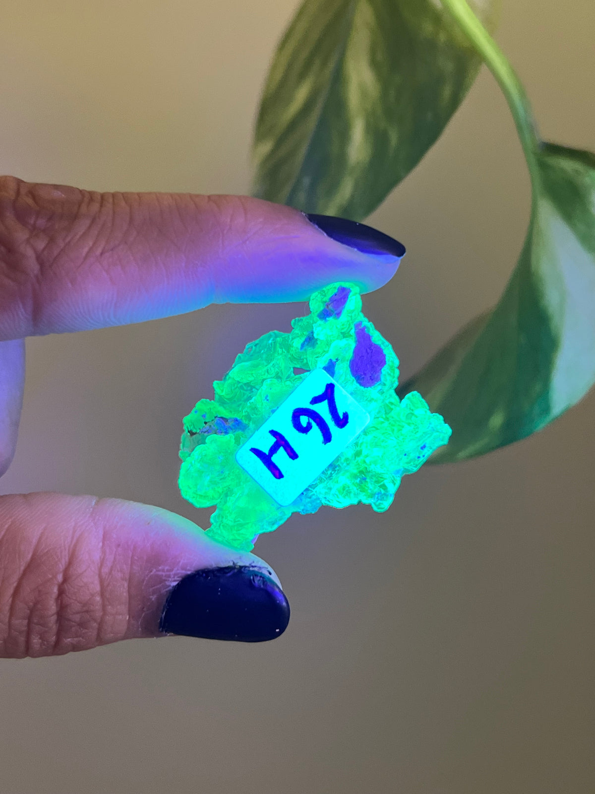 UV Reactive Hyalite Opal - H