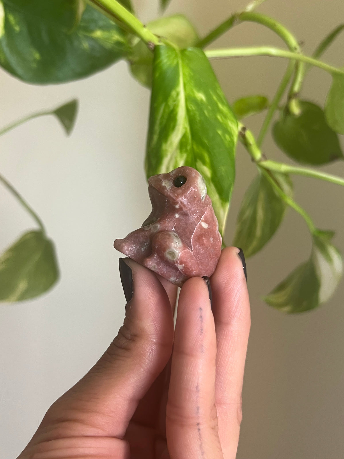 Plum Blossom Tourmaline x Serpentine Frog
