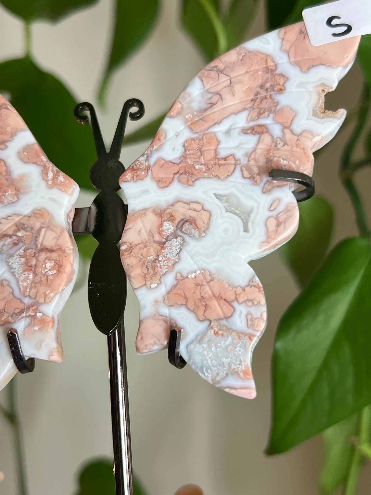 Cotton Candy Agate Butterfly Stand - S