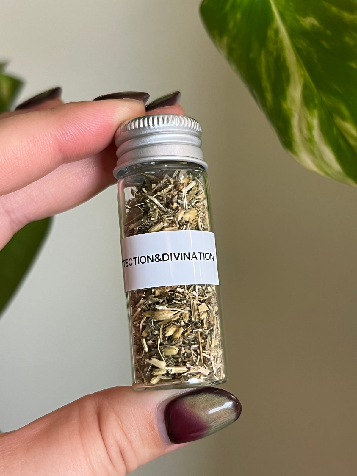 Yarrow Herb Vial - Protection + Divination