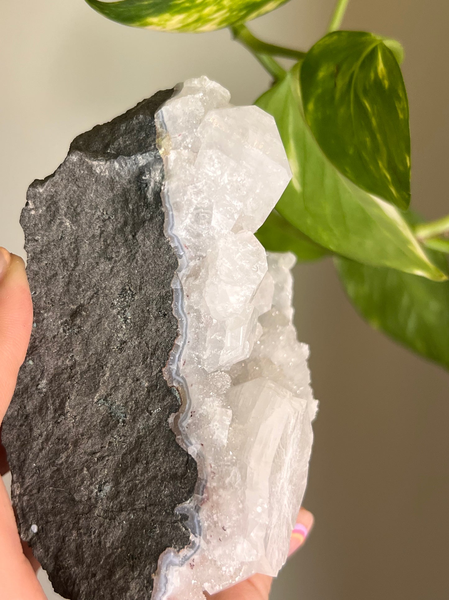 Apophyllite and Chalcedony Cluster - X
