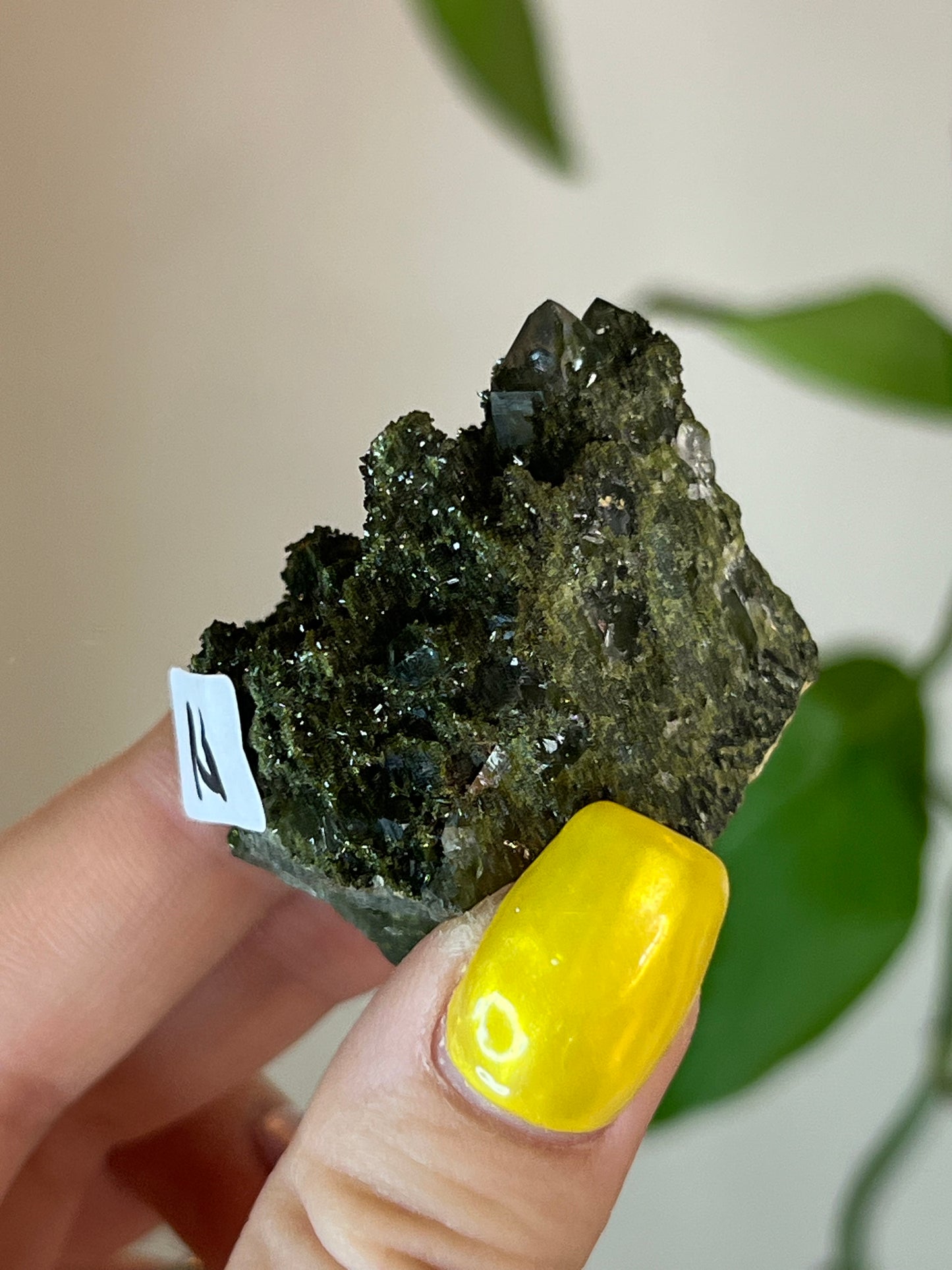 Forest Epidote Quartz Cluster - N