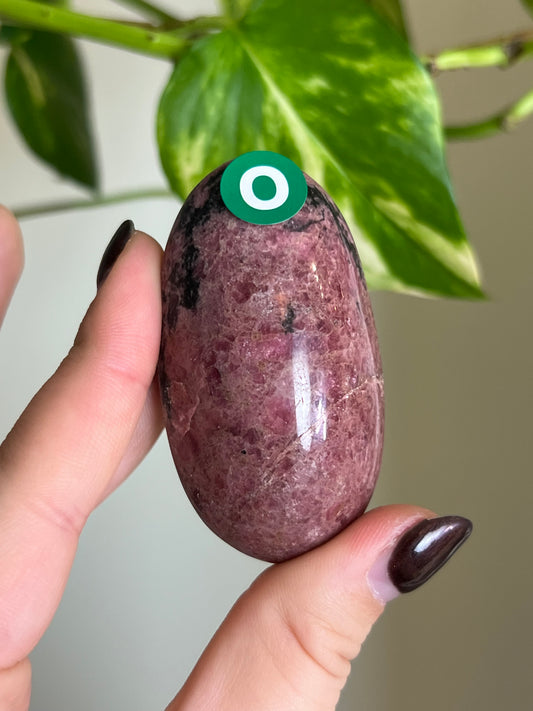 Madagascar Rhodonite Palm Stone - O