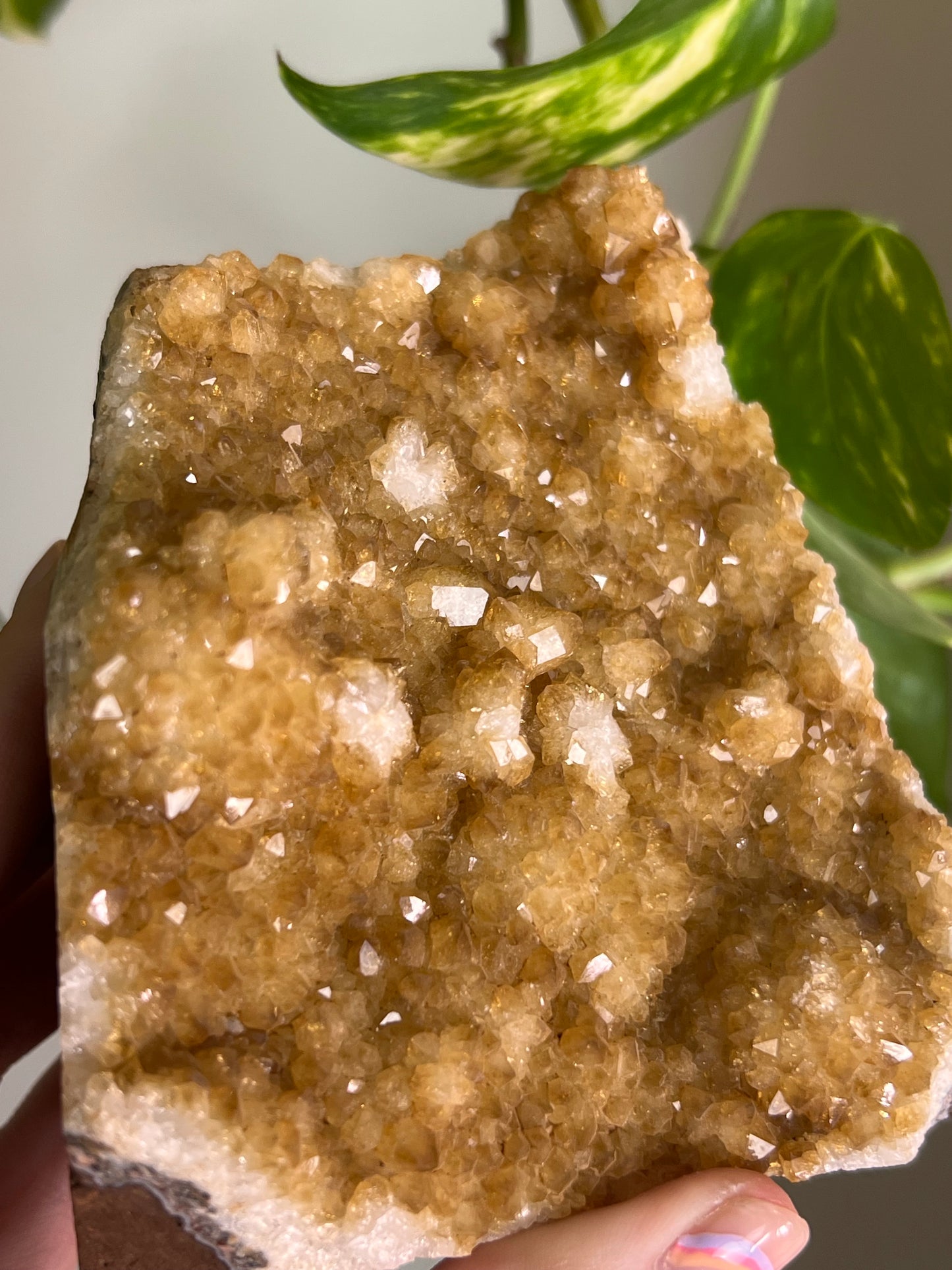 Citrine Cluster Cut Base